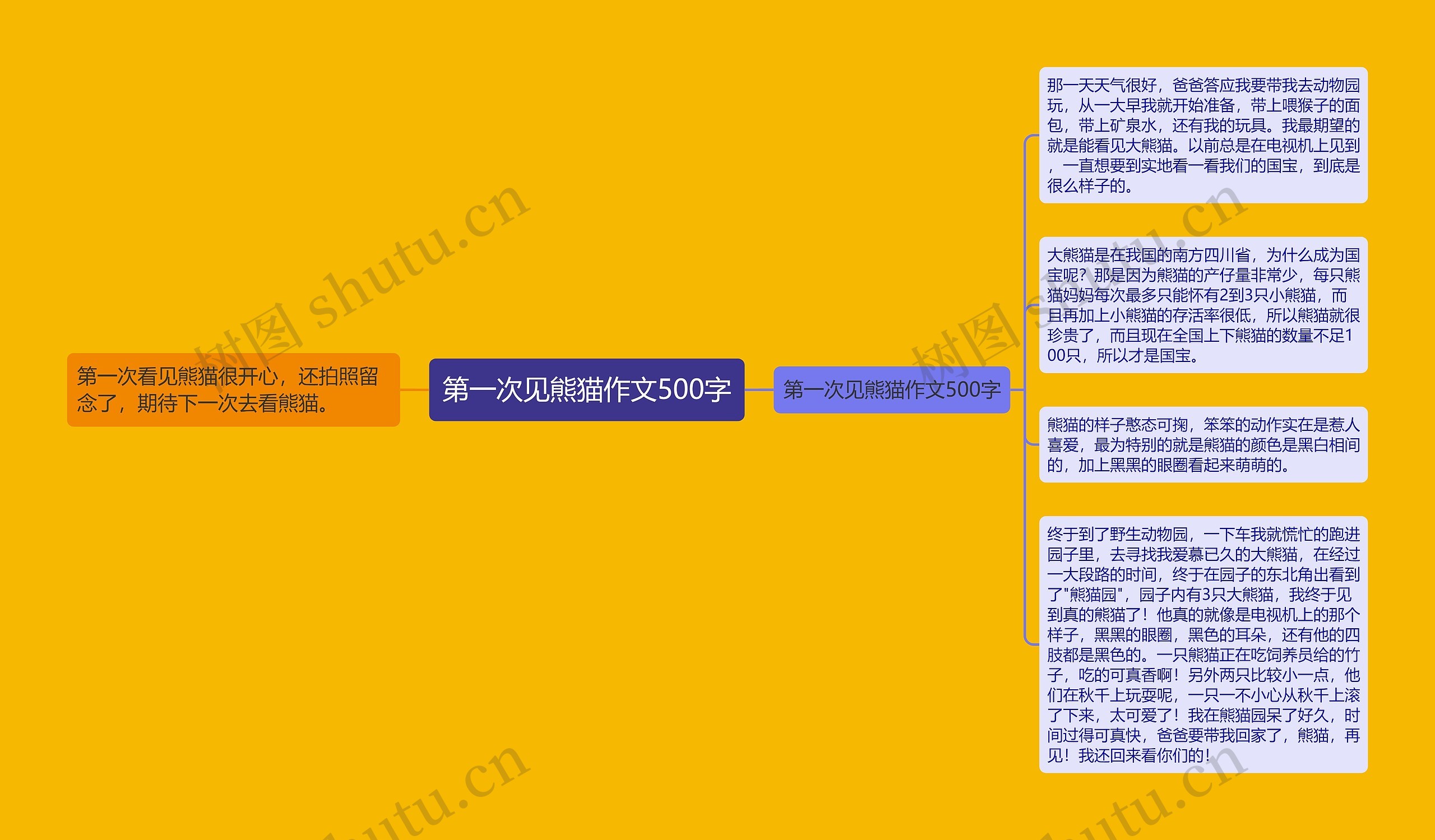 第一次见熊猫作文500字思维导图高清图 第一次见熊猫作文500字思维导图