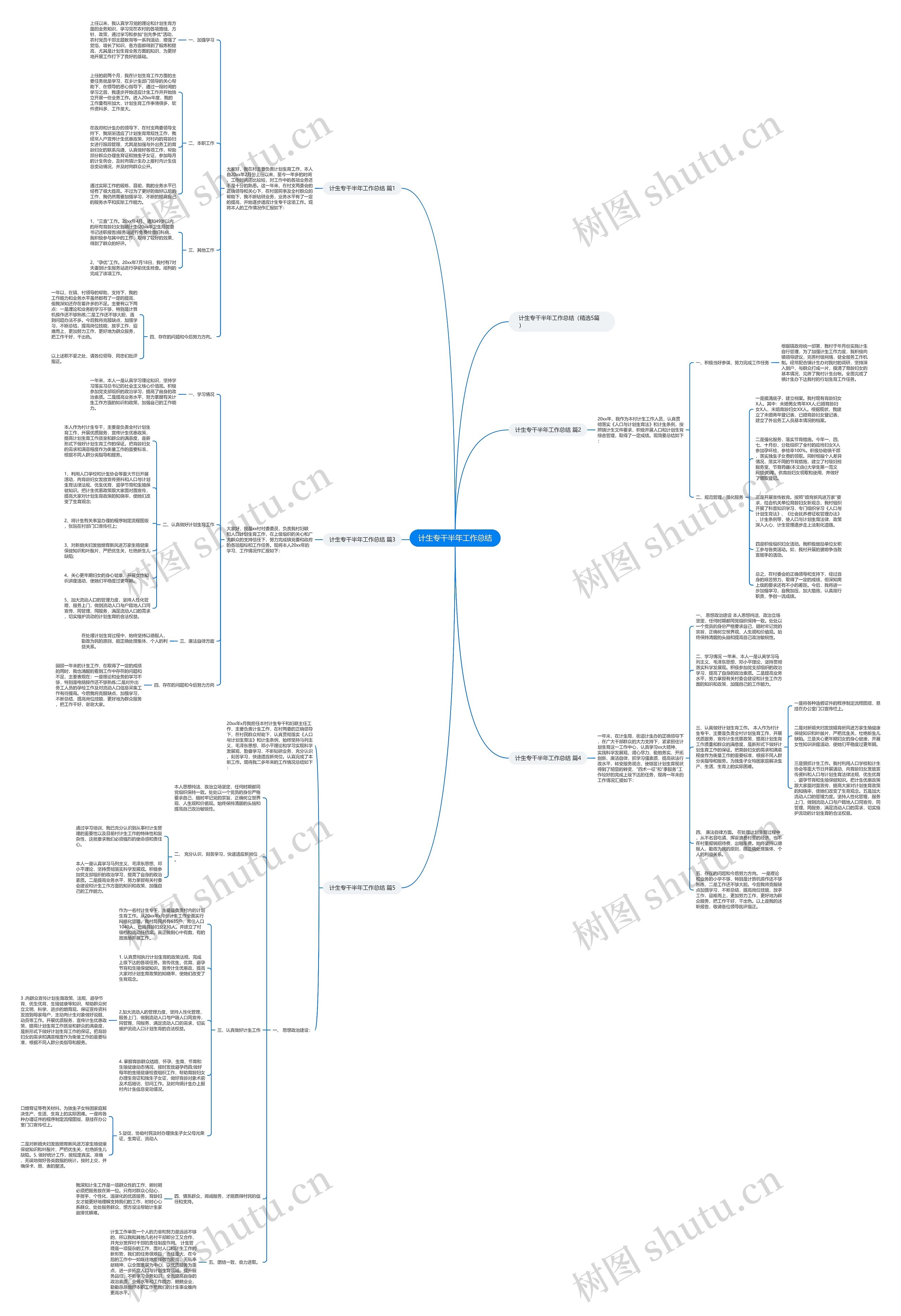 计生专干半年工作总结思维导图