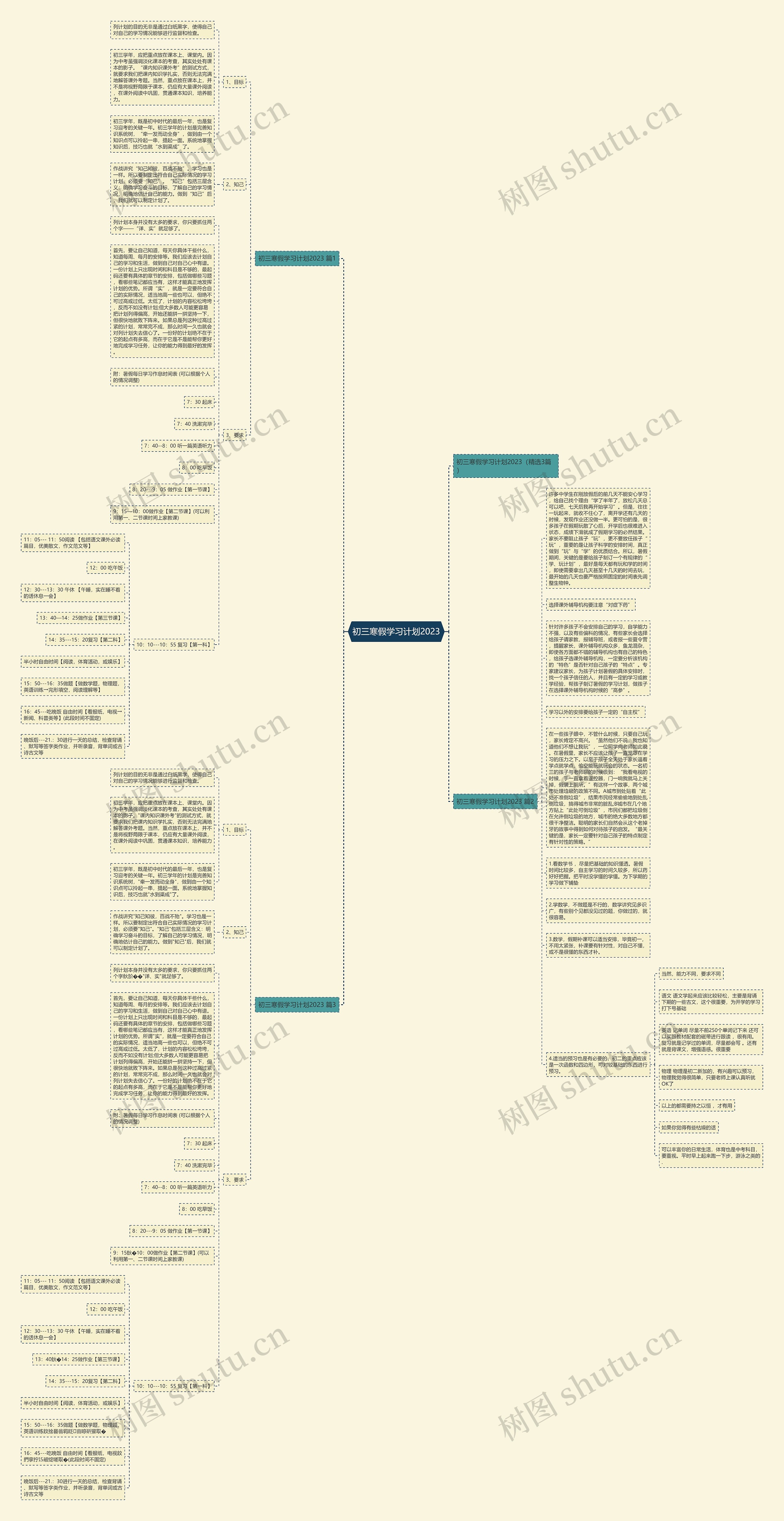 初三寒假学习计划2023思维导图