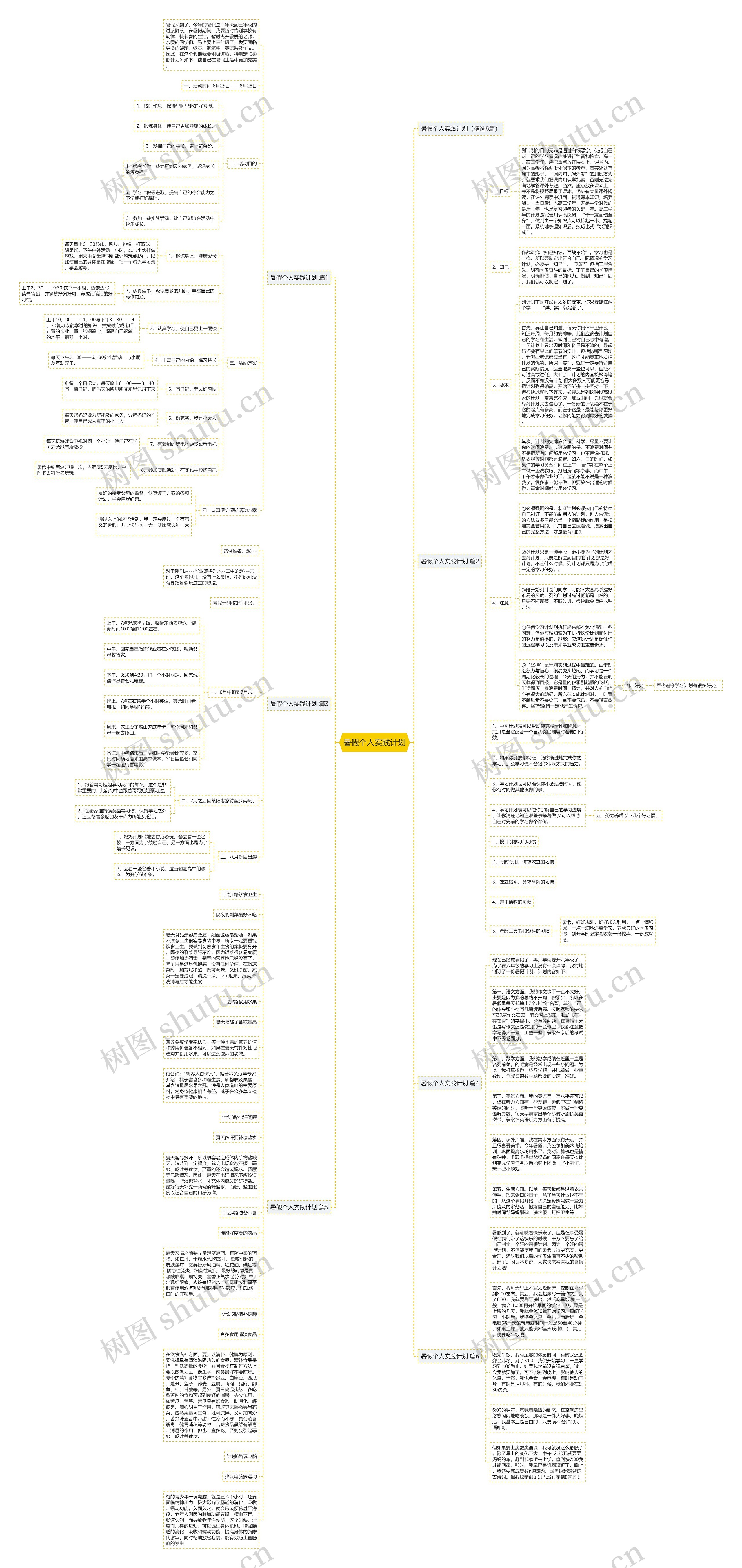 暑假个人实践计划思维导图