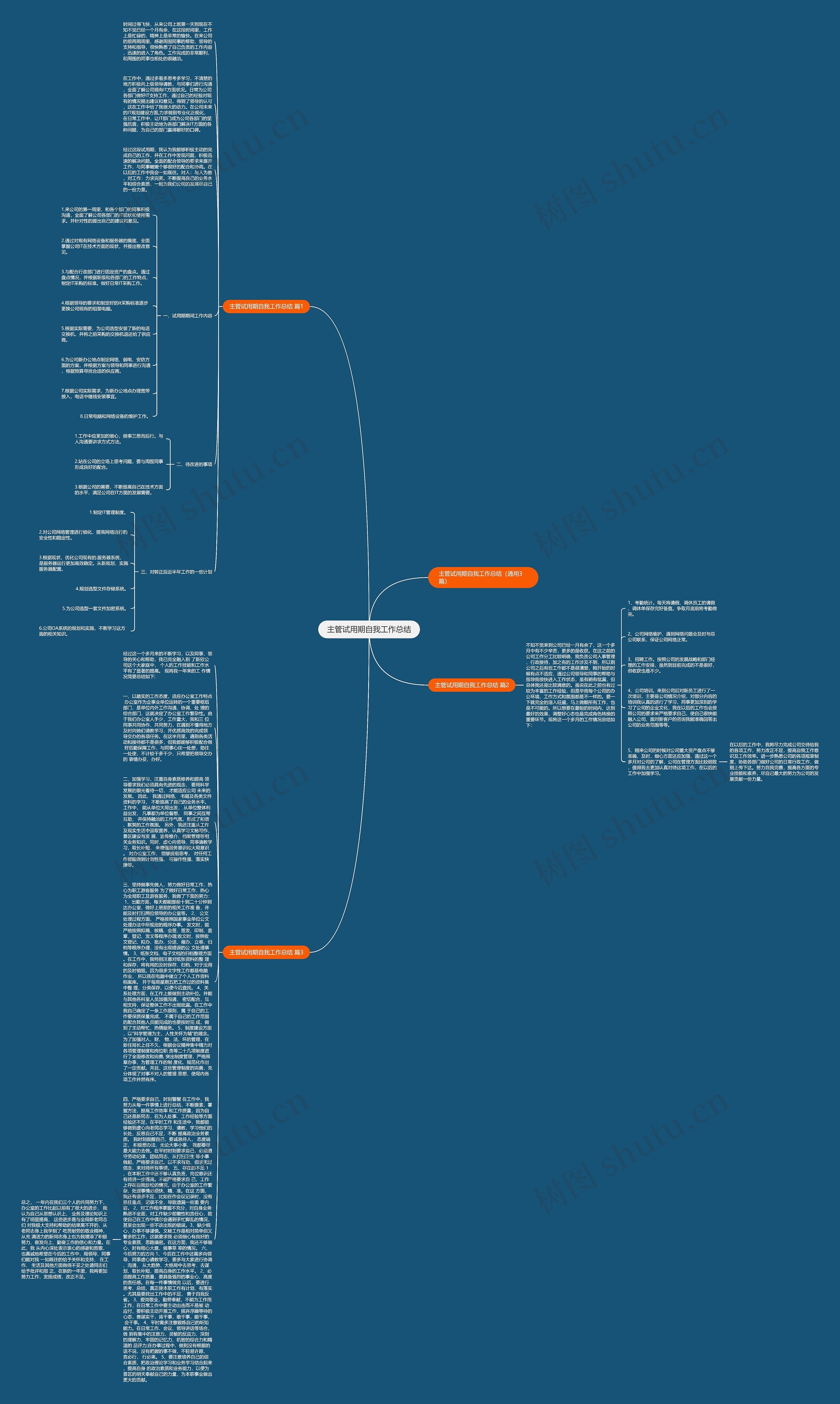 主管试用期自我工作总结思维导图