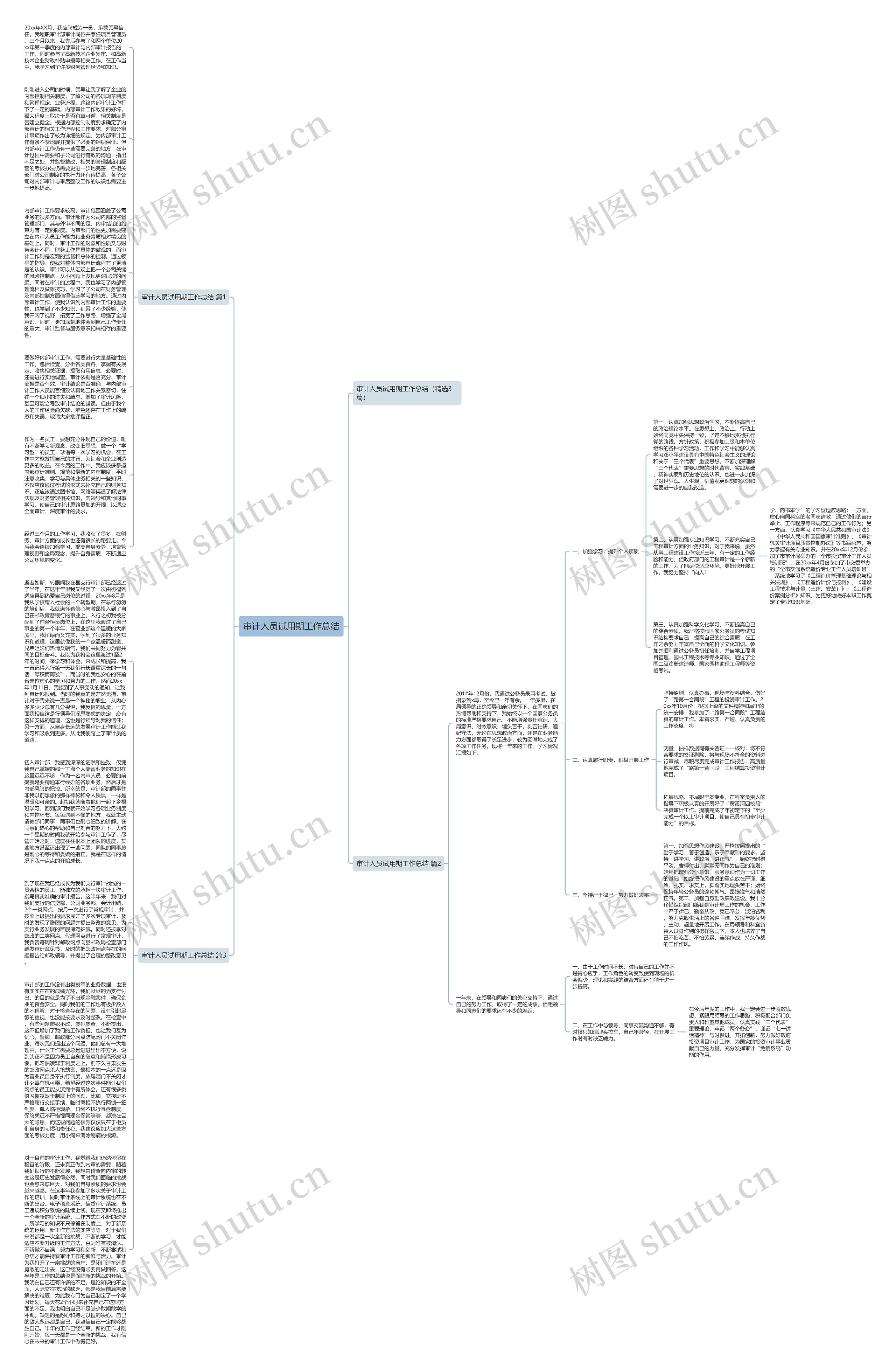 审计人员试用期工作总结思维导图