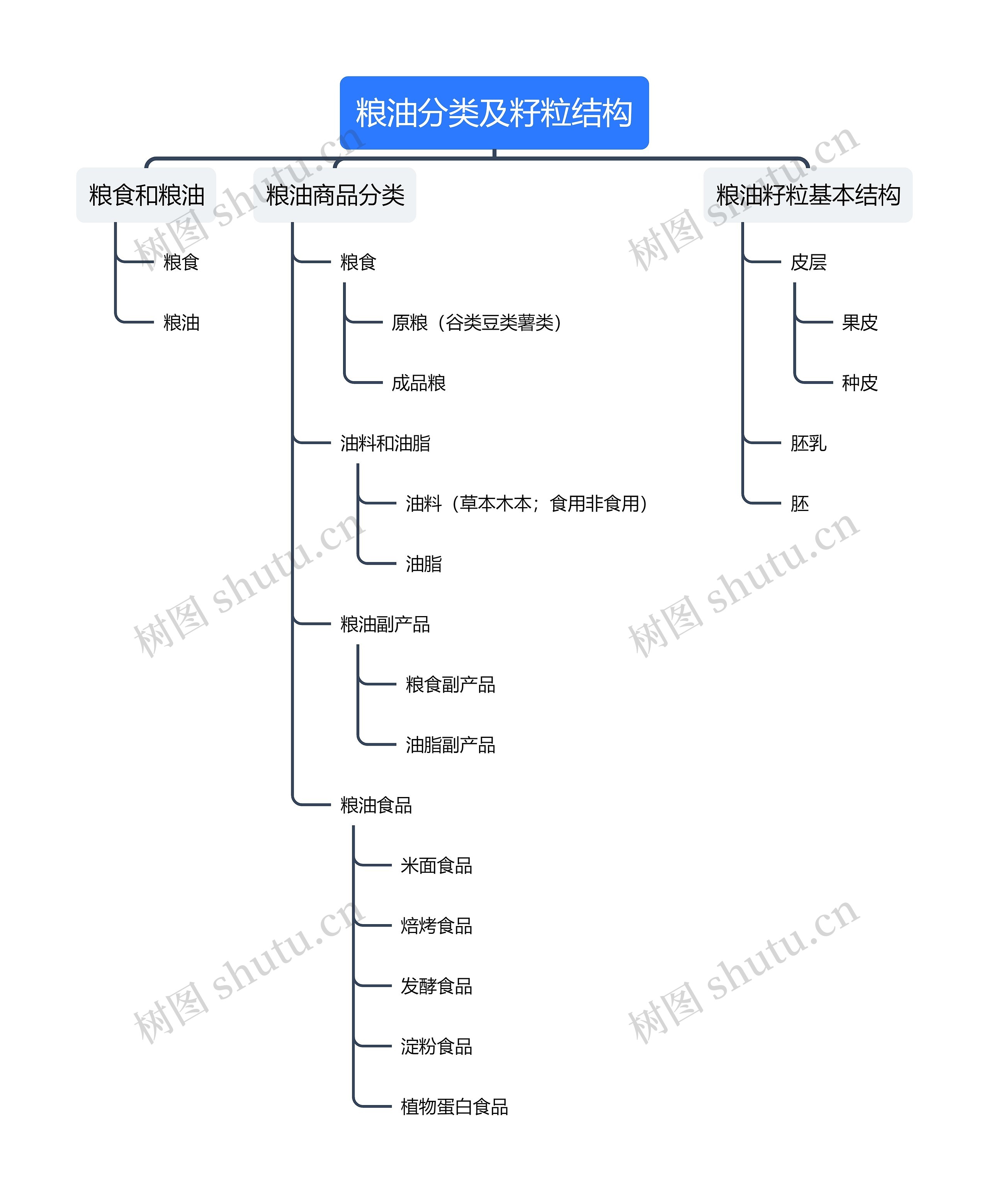 粮油分类及籽粒结构