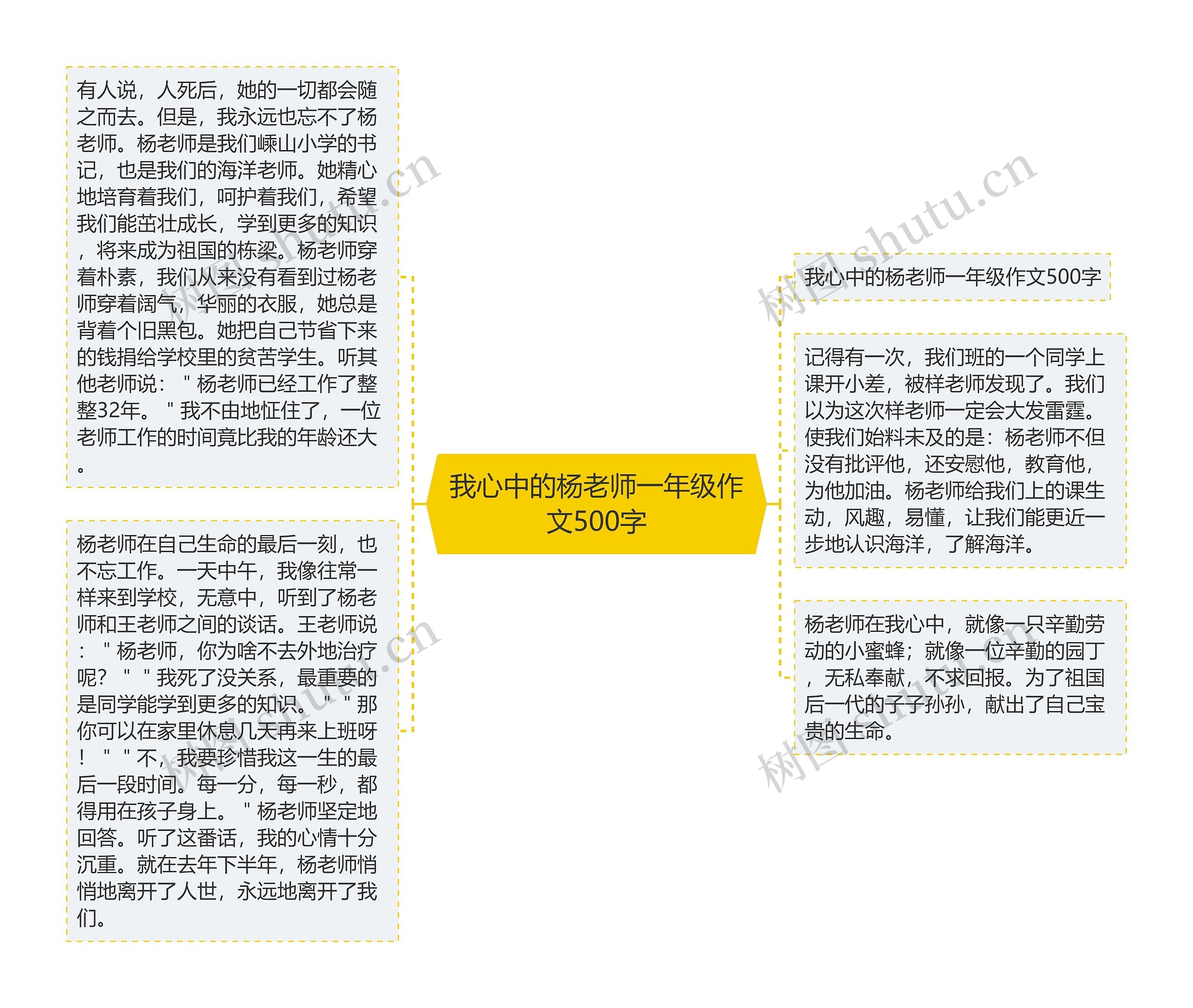 我心中的杨老师一年级作文500字思维导图