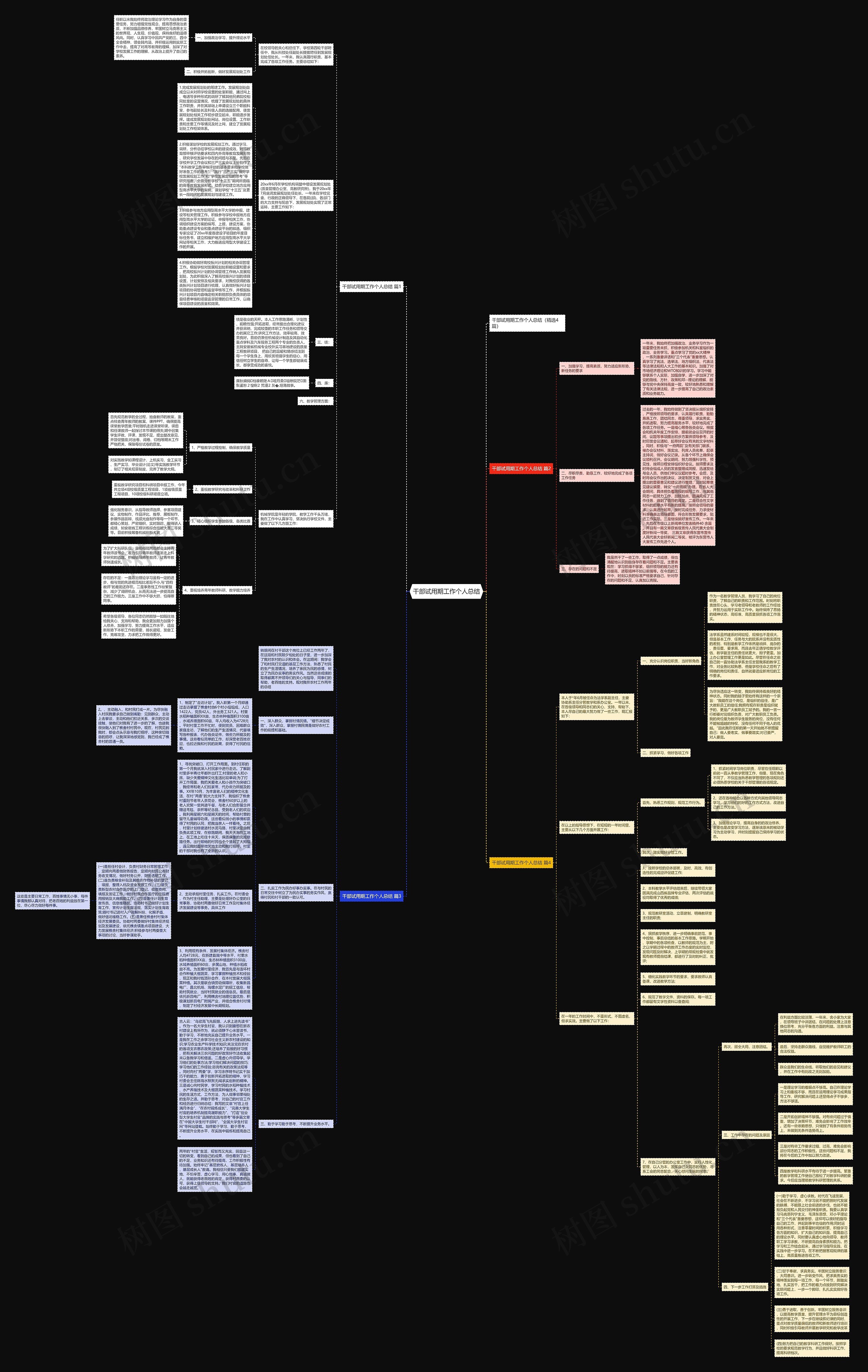 干部试用期工作个人总结思维导图