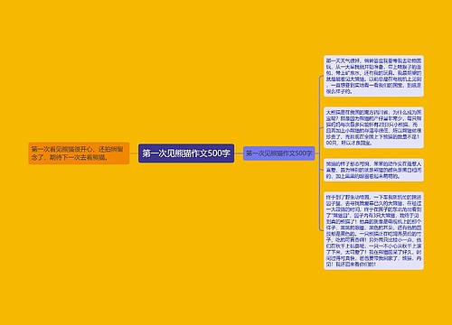 第一次见熊猫作文500字