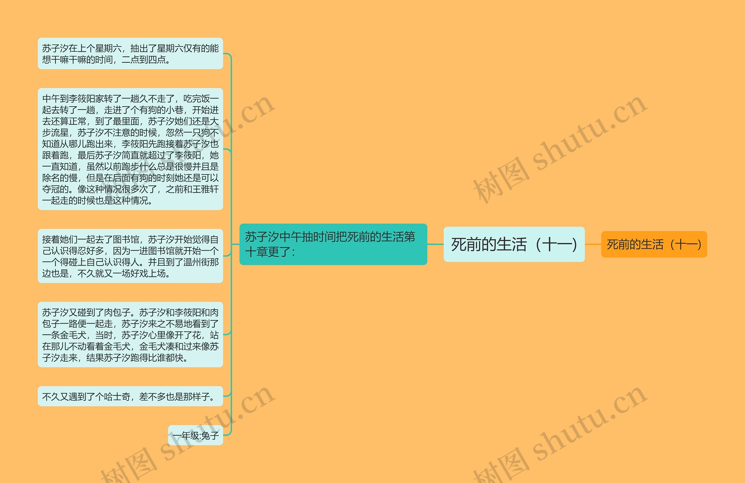死前的生活（十一)思维导图