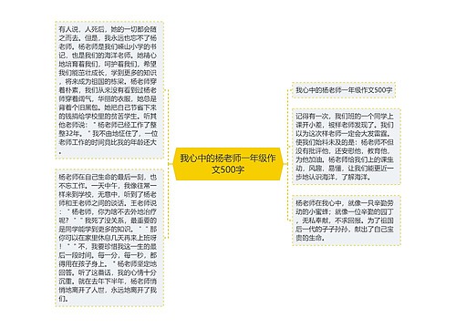 我心中的杨老师一年级作文500字