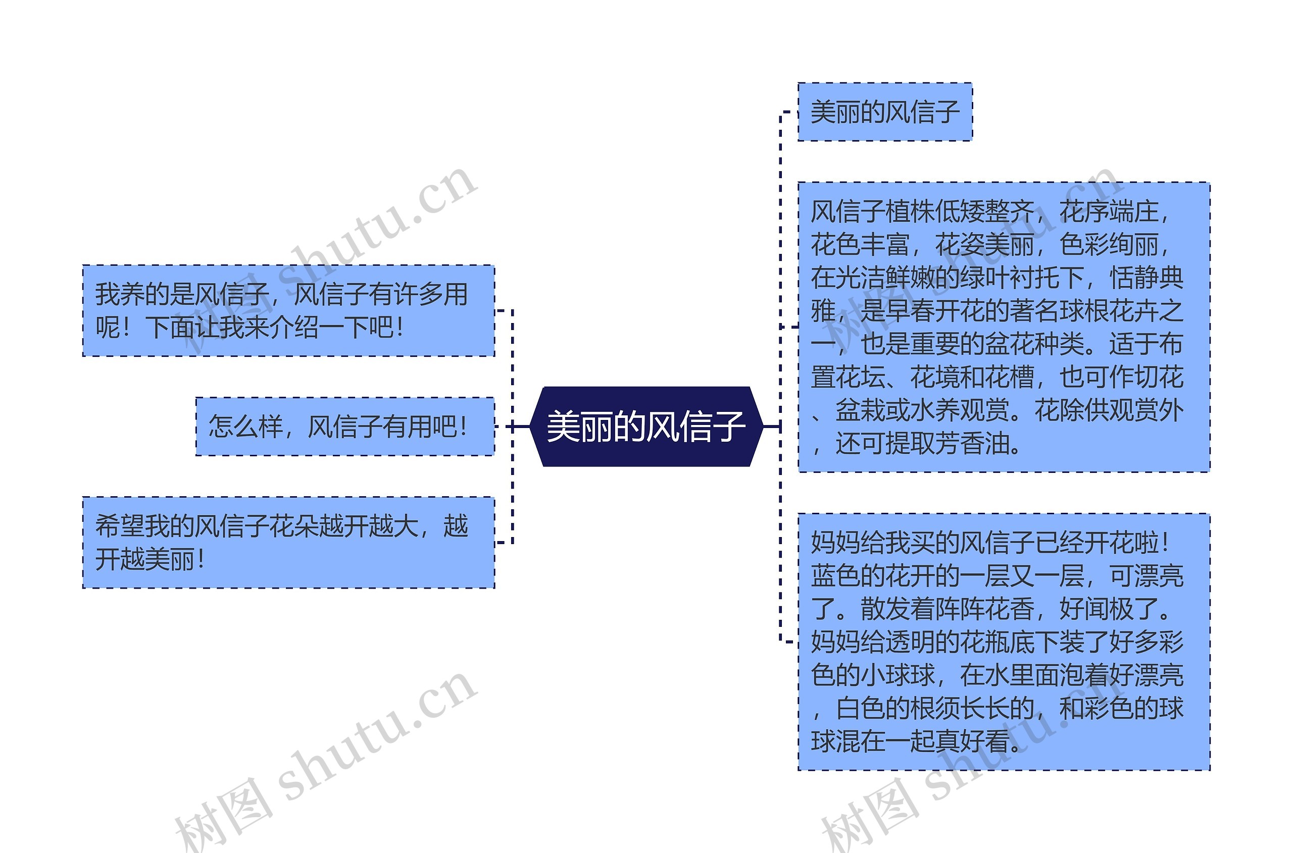 美丽的风信子思维导图