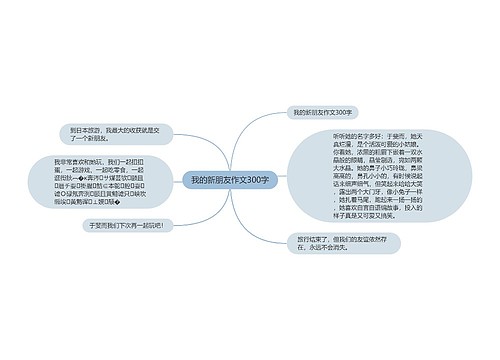 我的新朋友作文300字