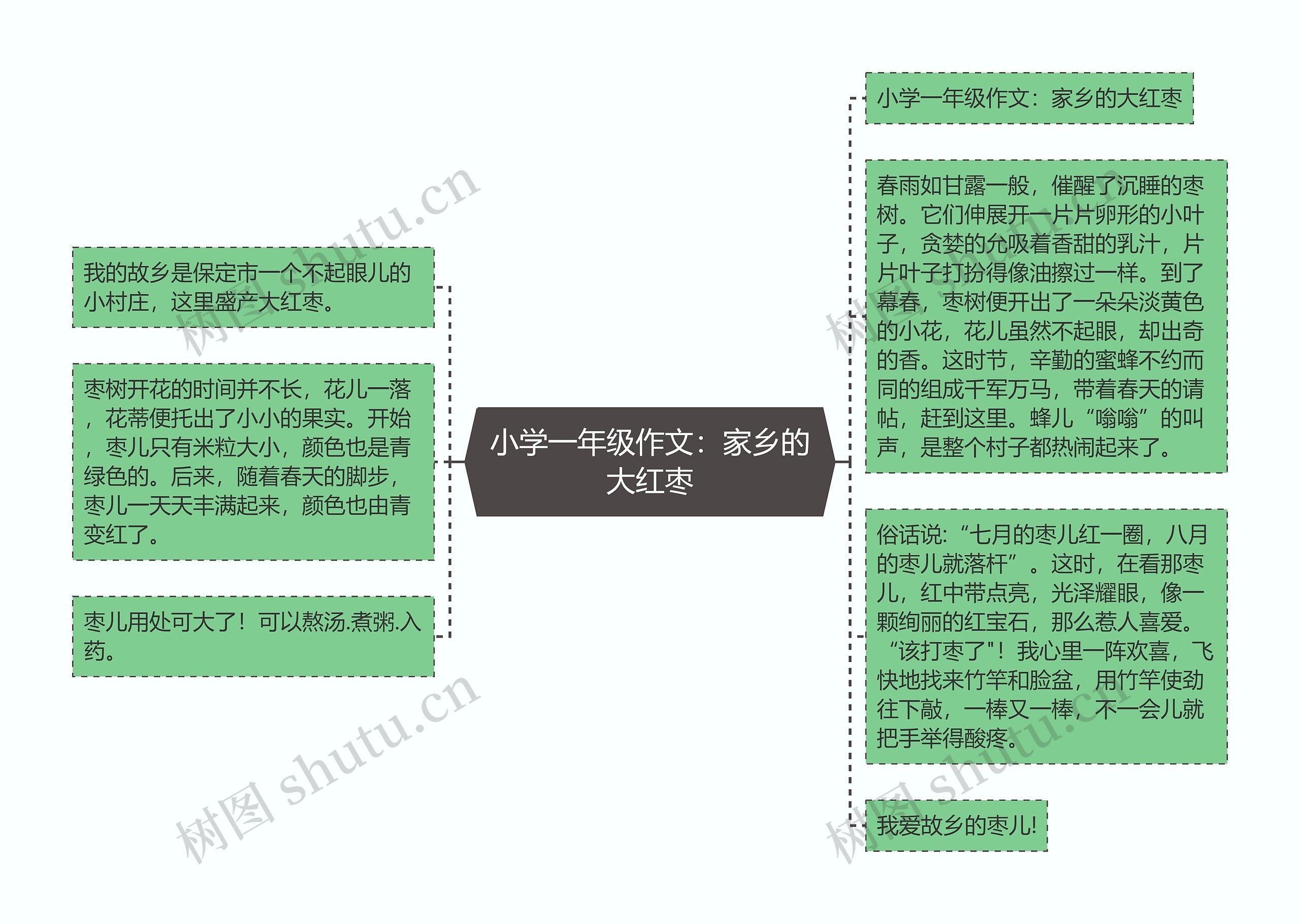 小学一年级作文：家乡的大红枣思维导图