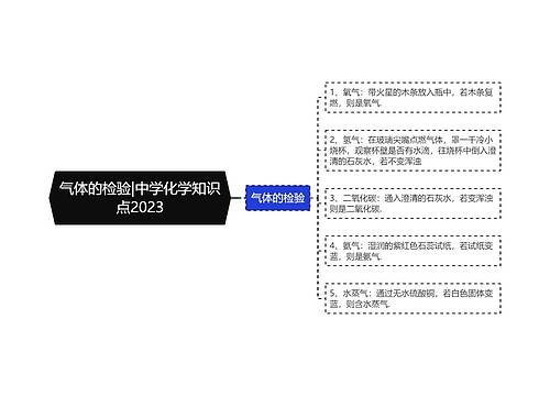 气体的检验|中学化学知识点2023