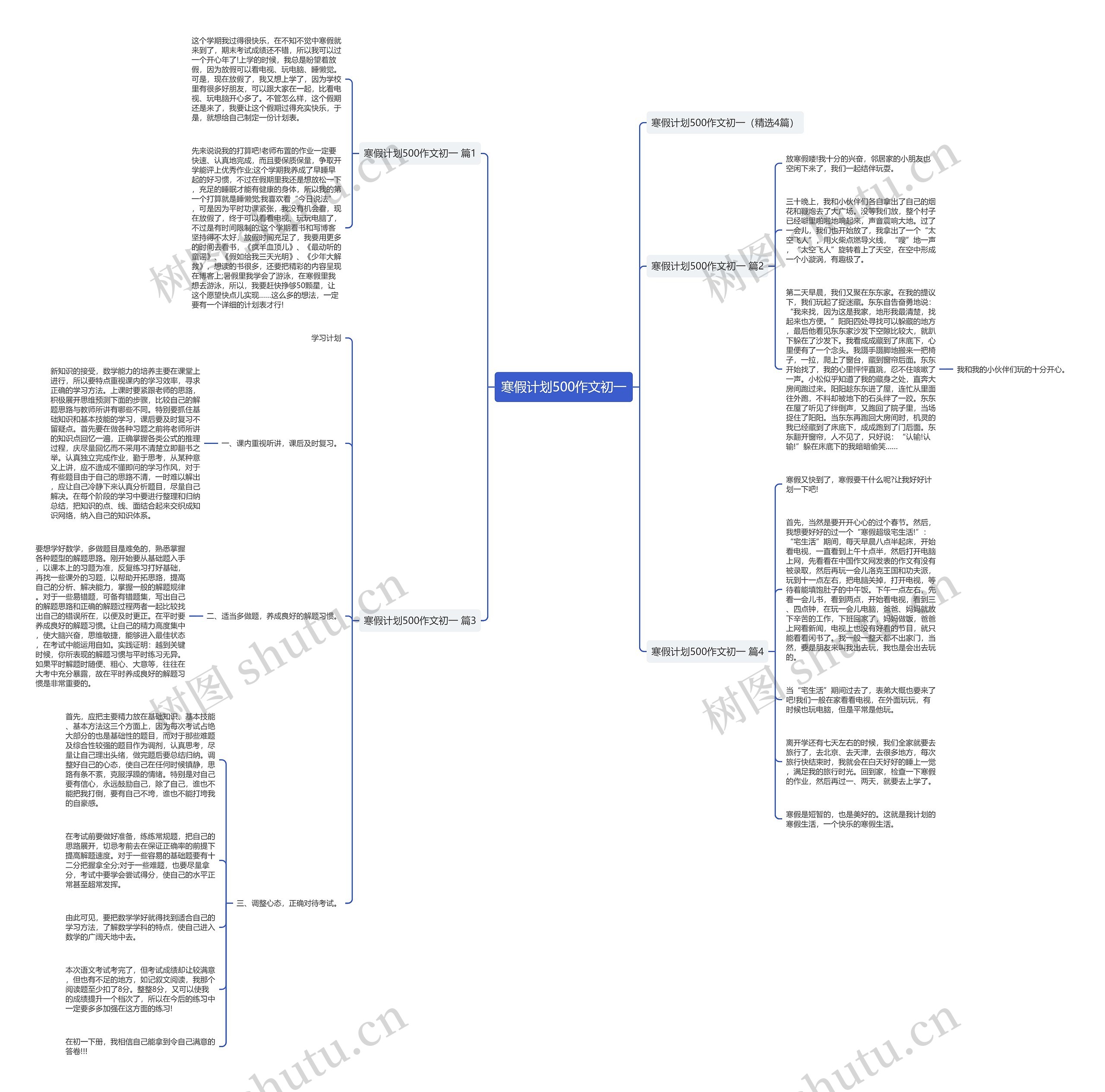寒假计划500作文初一思维导图