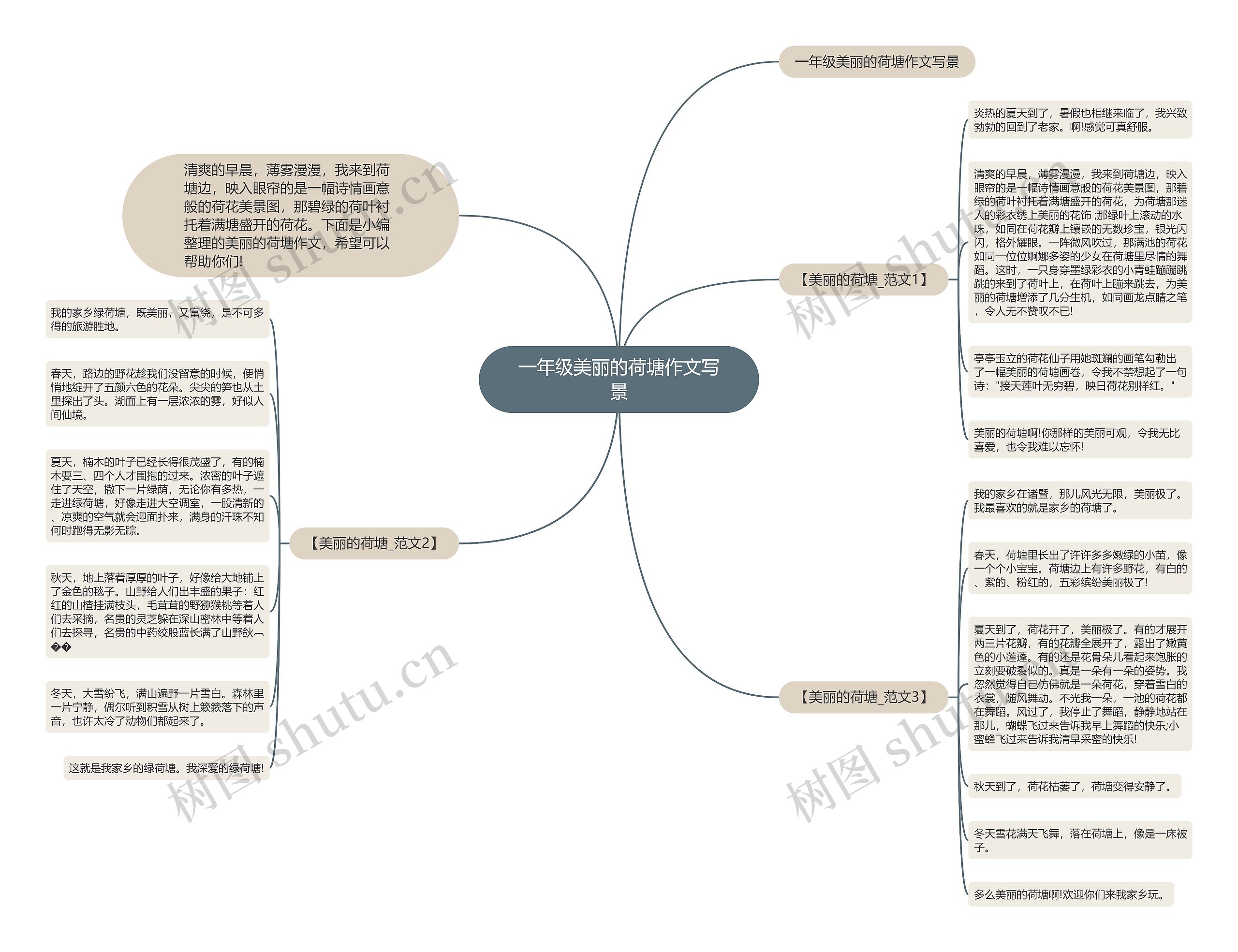 一年级美丽的荷塘作文写景思维导图