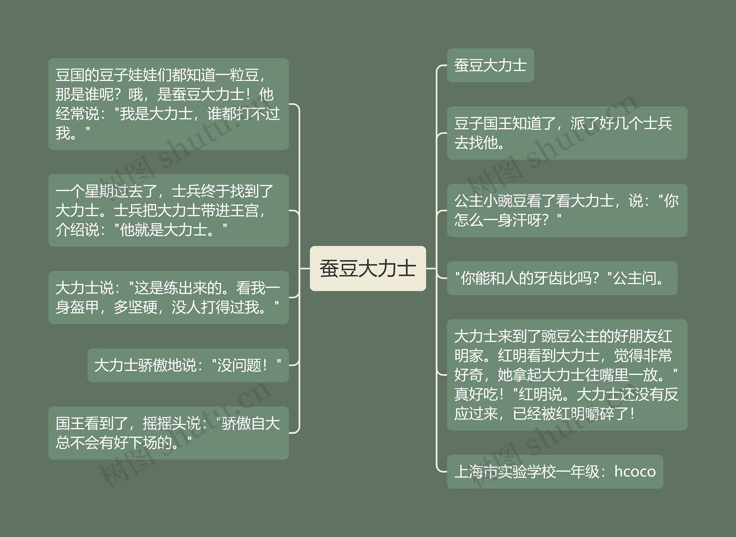 蚕豆大力士思维导图