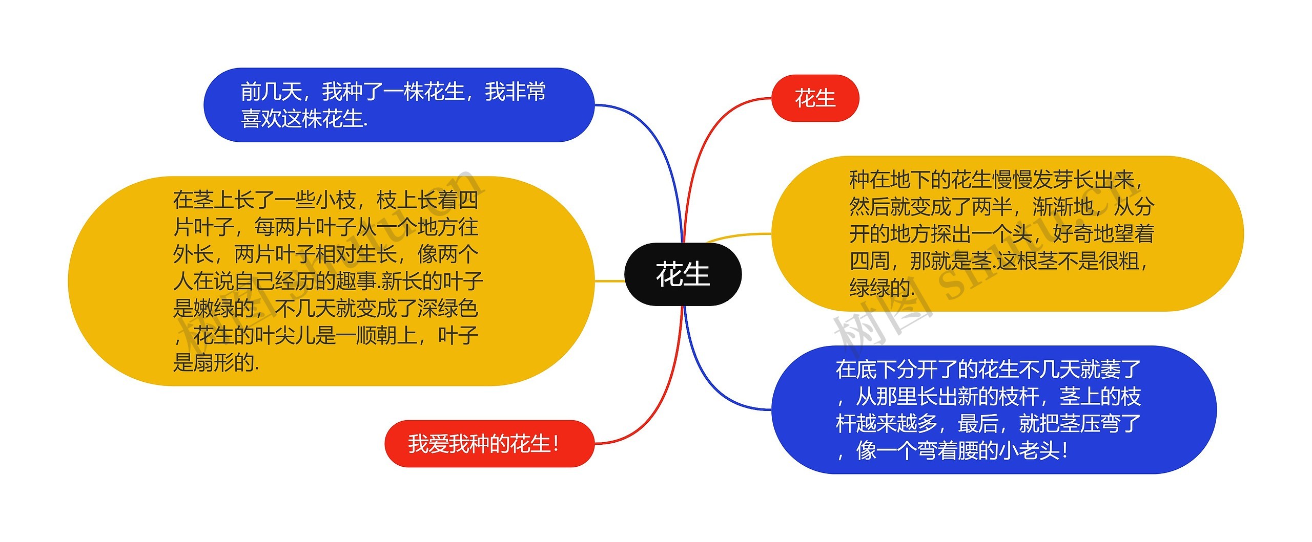 花生思维导图