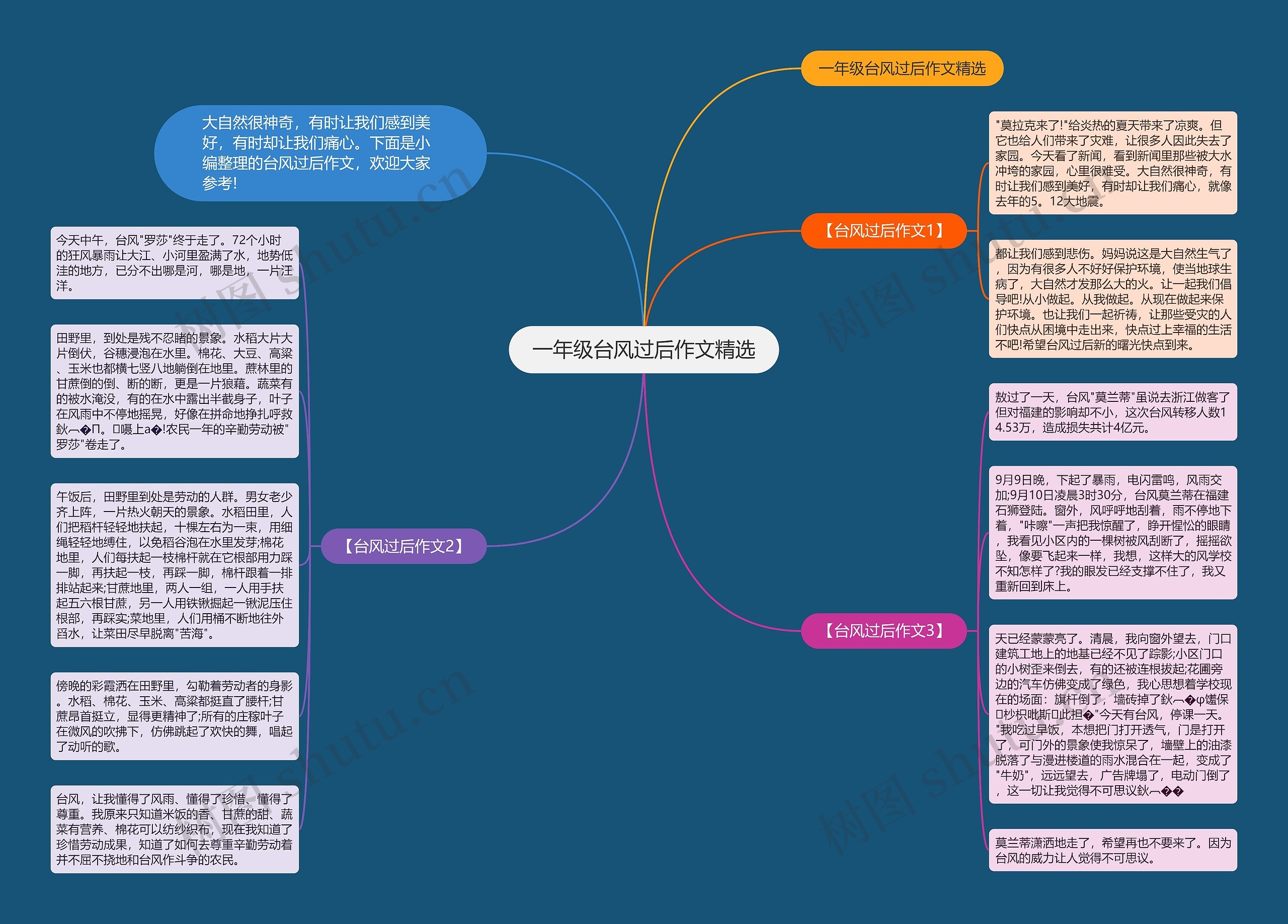 一年级台风过后作文精选思维导图