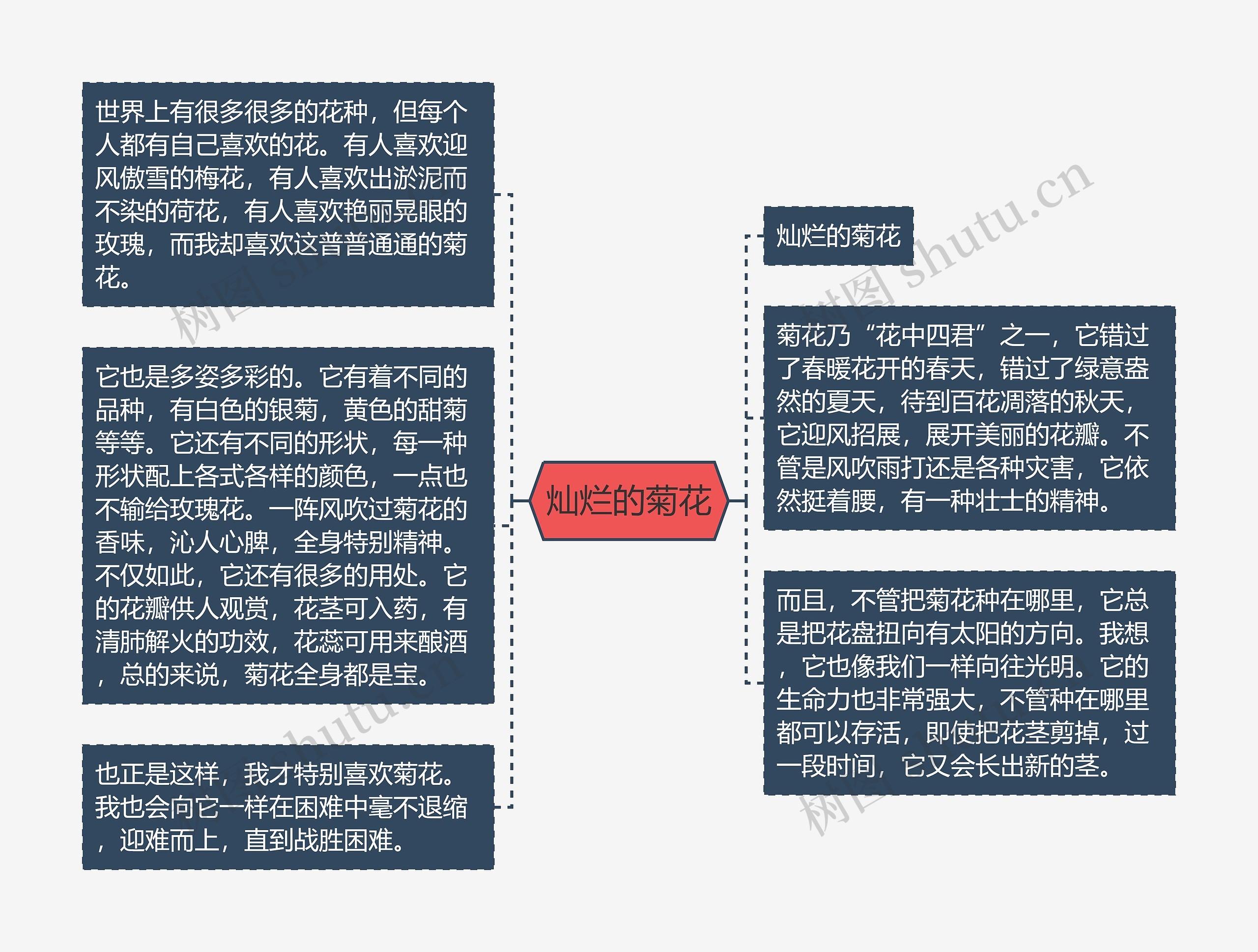 灿烂的菊花思维导图