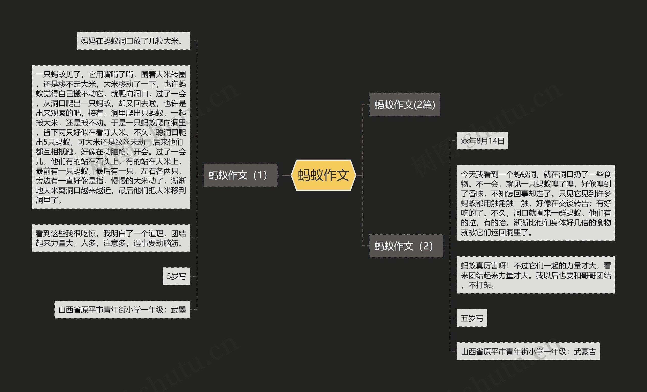 蚂蚁作文思维导图