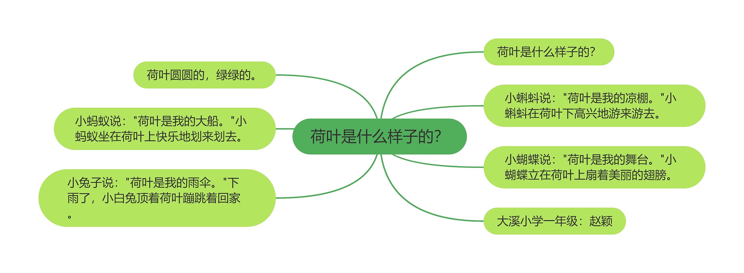 荷叶是什么样子的？