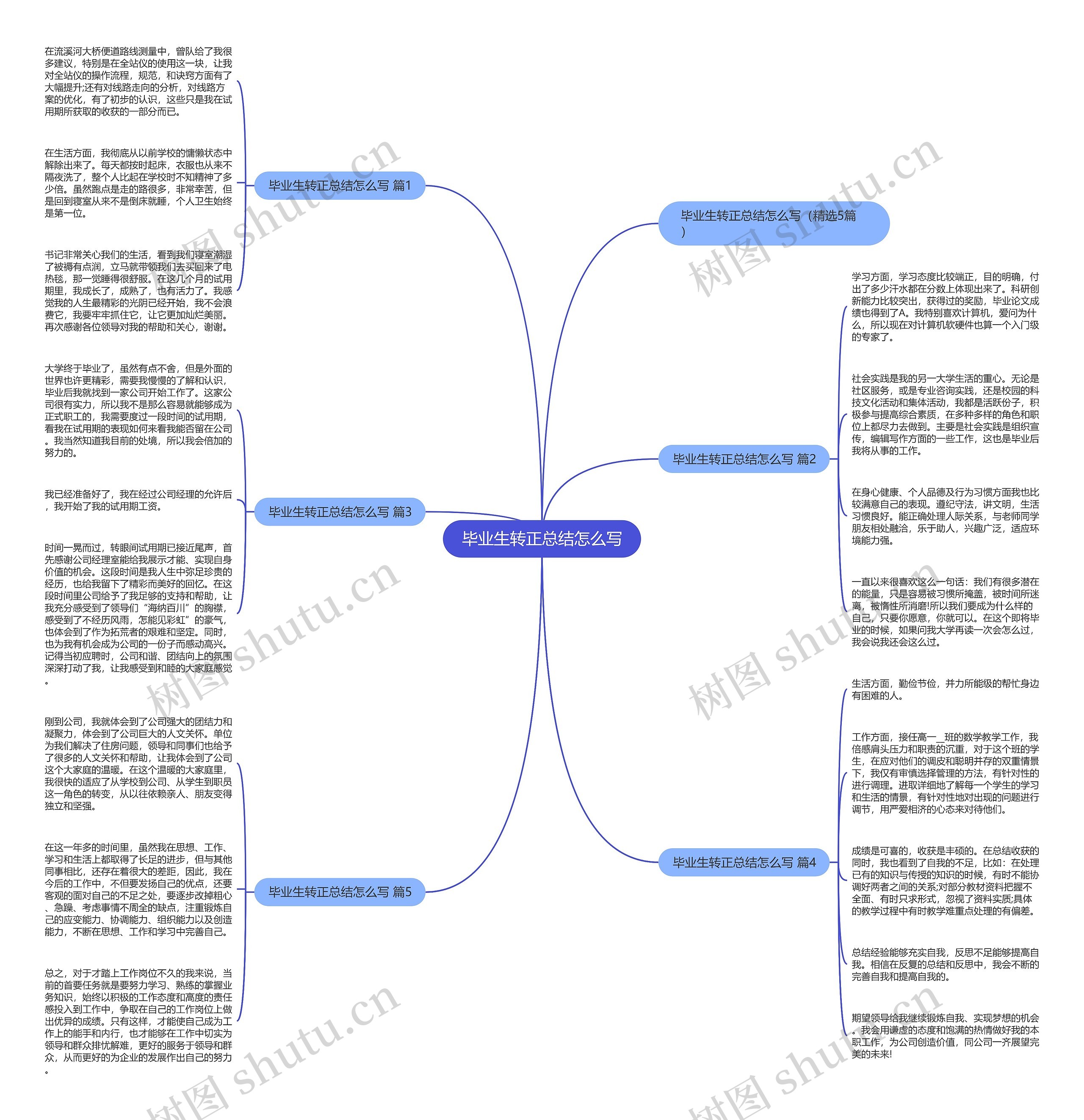 毕业生转正总结怎么写思维导图