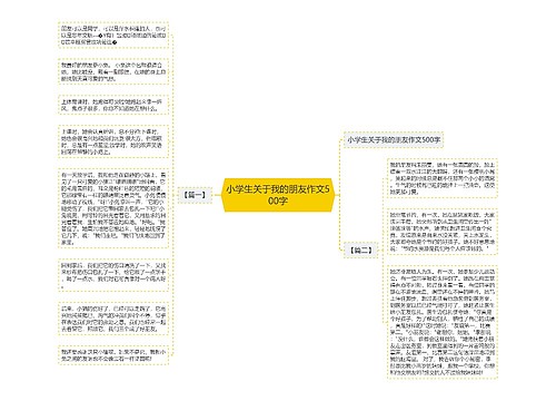 小学生关于我的朋友作文500字