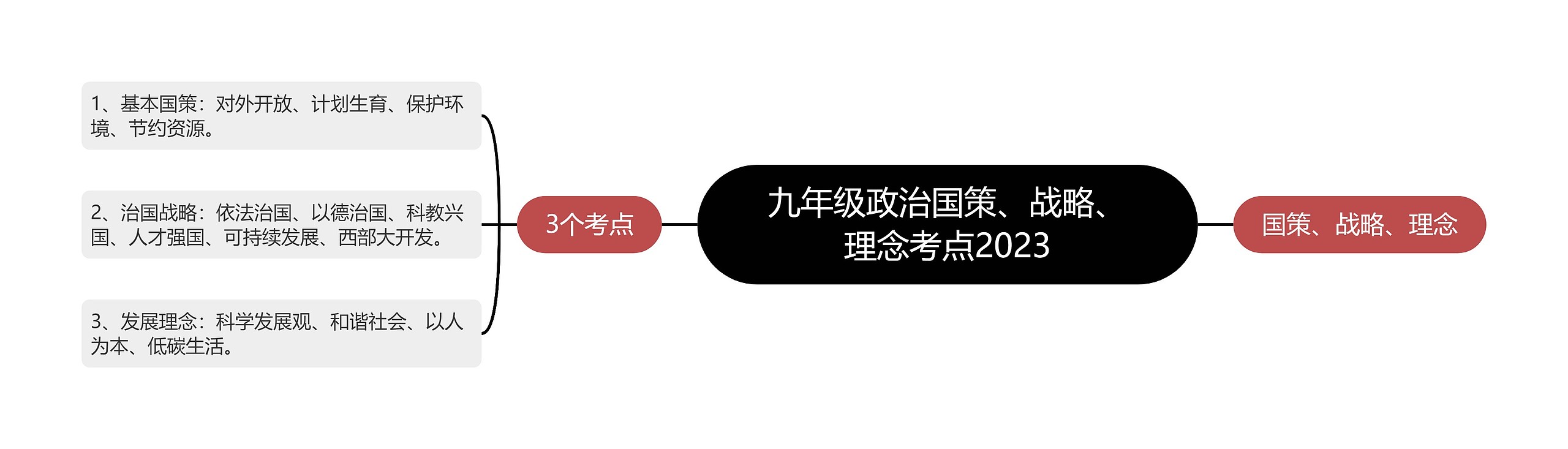 九年级政治国策、战略、理念考点2023