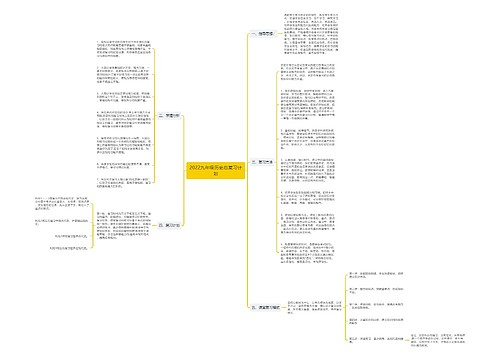 2022九年级历史总复习计划