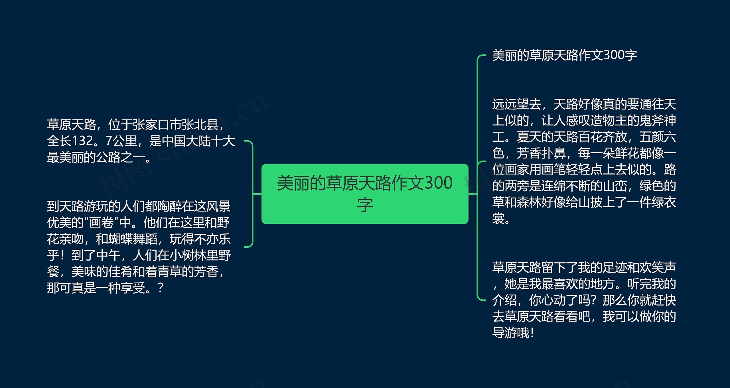 美丽的草原天路作文300字