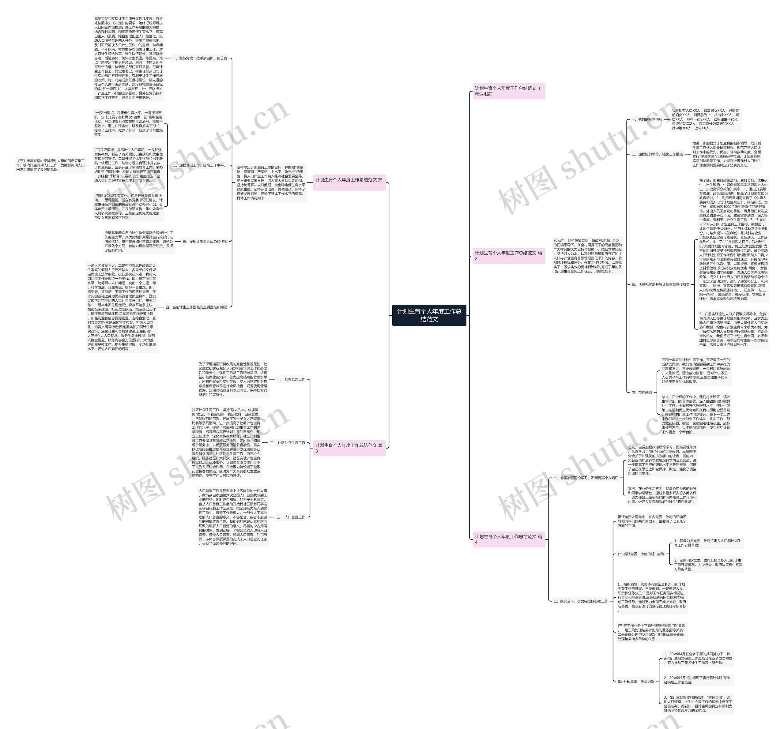 计划生育个人年度工作总结范文思维导图