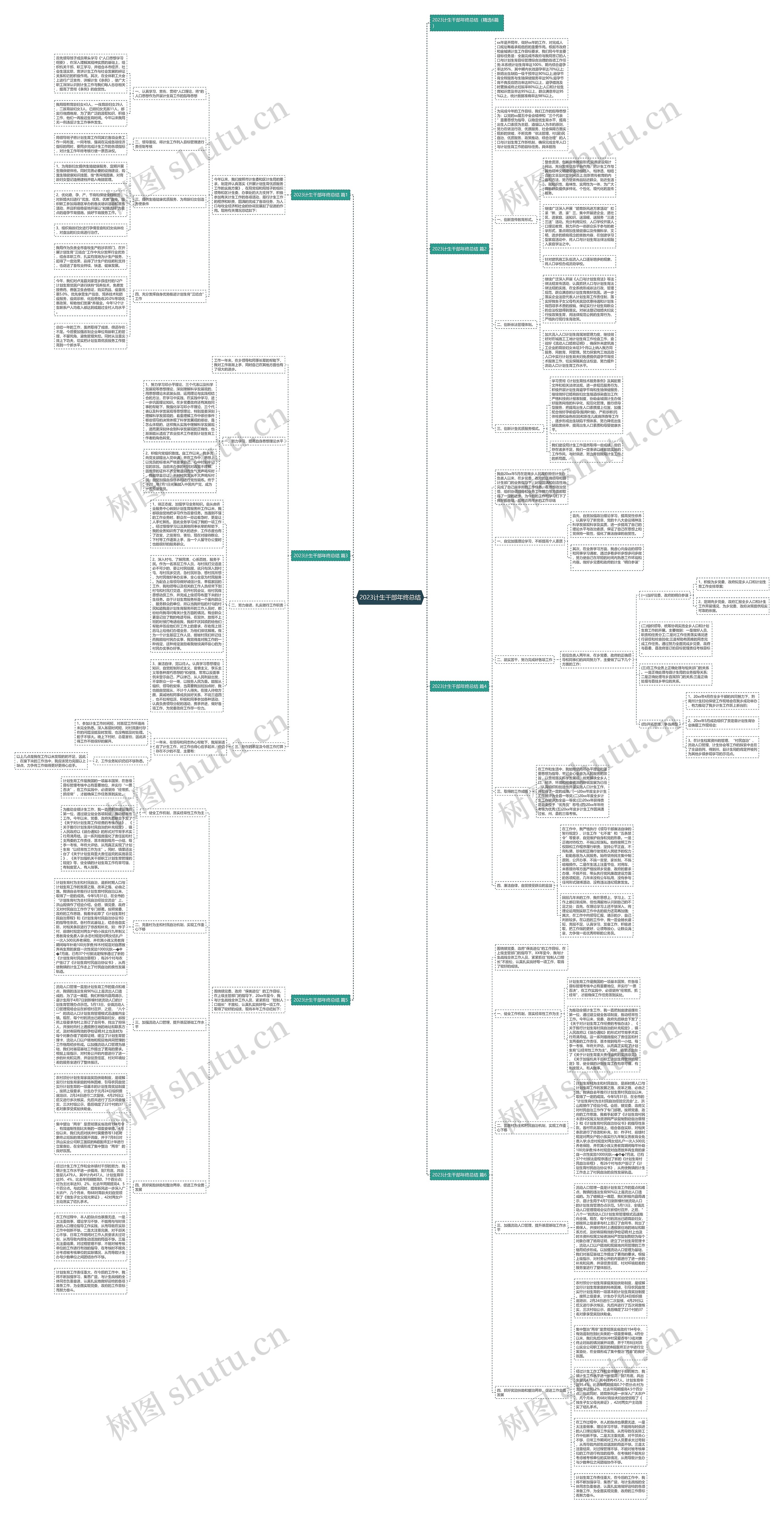 2023计生干部年终总结思维导图
