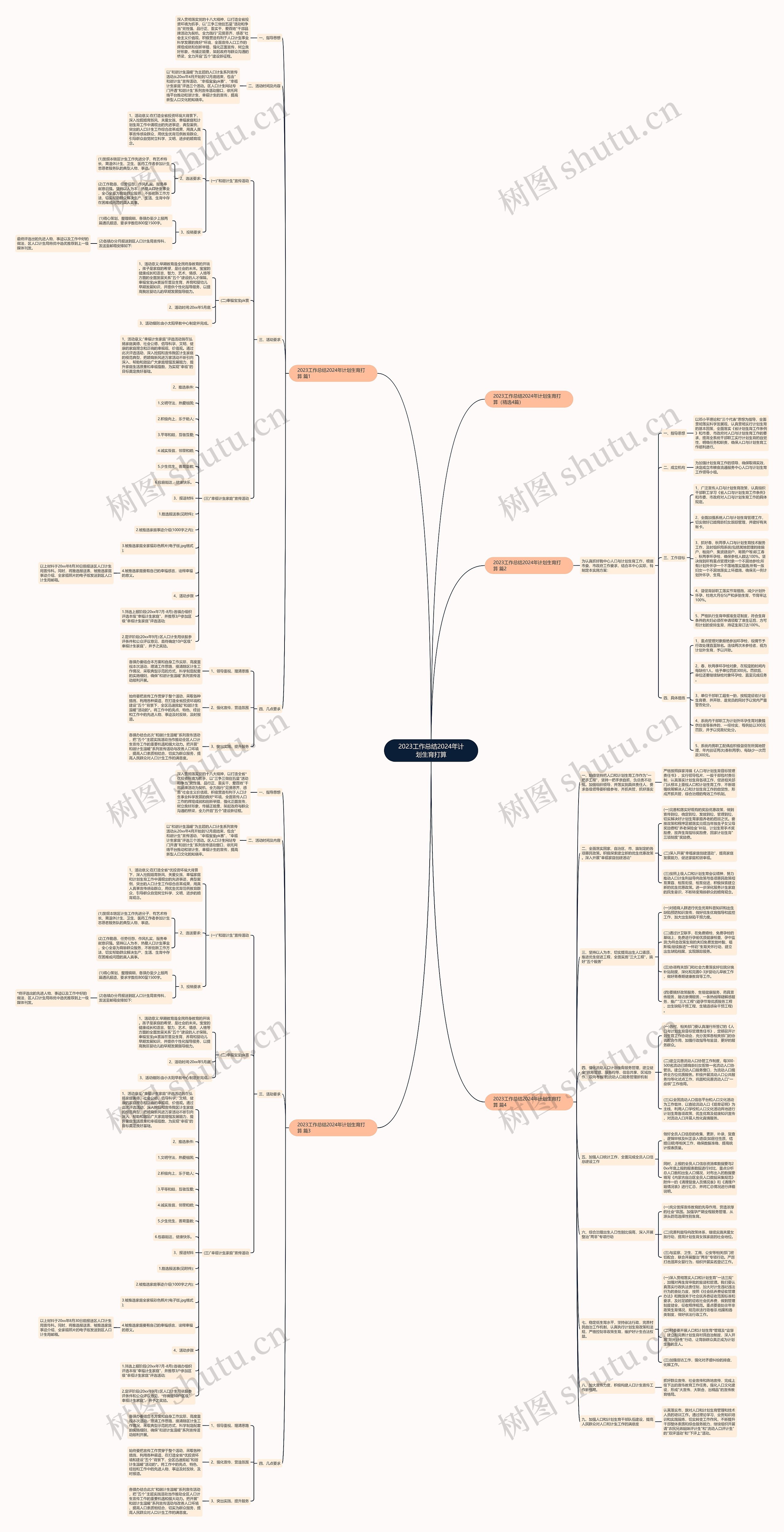 2023工作总结2024年计划生育打算思维导图