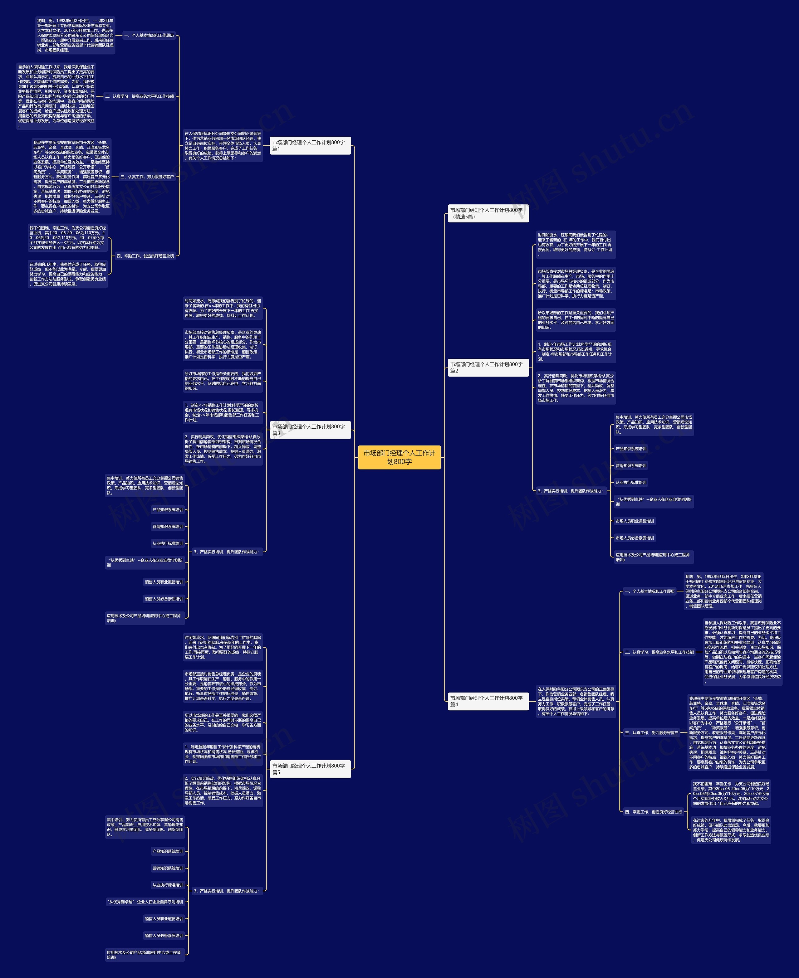 市场部门经理个人工作计划800字思维导图
