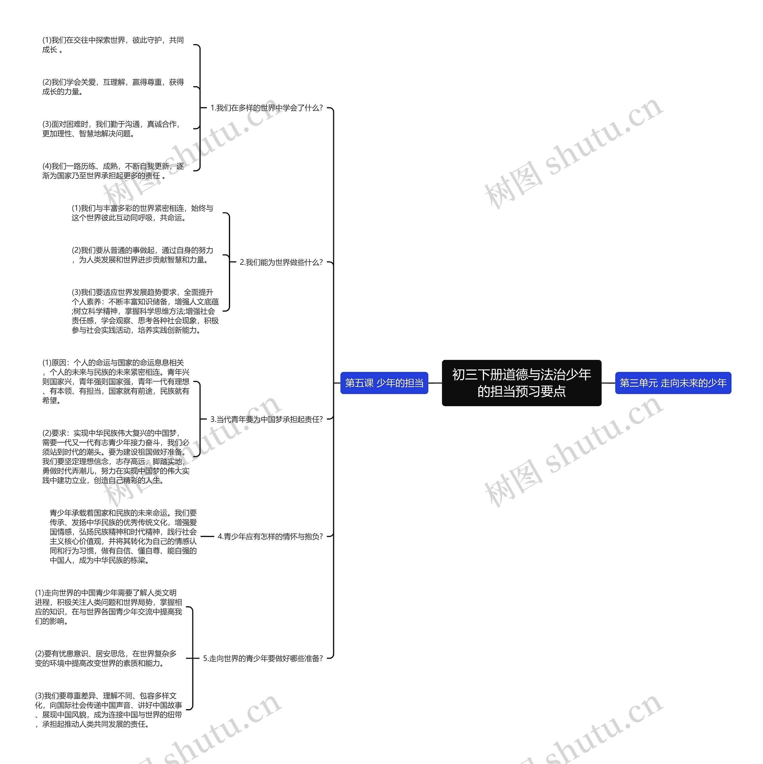 初三下册道德与法治少年的担当预习要点思维导图