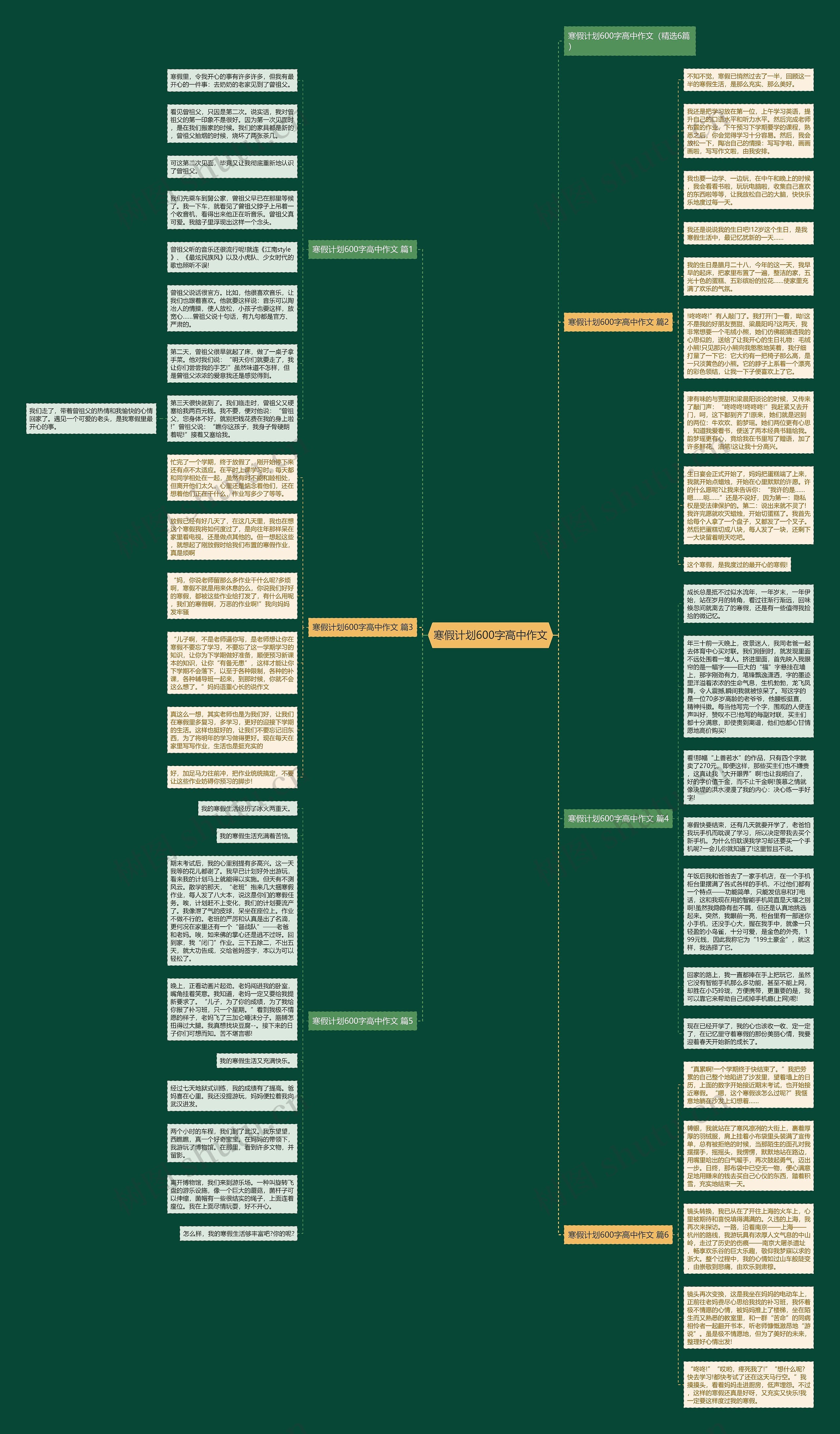 寒假计划600字高中作文