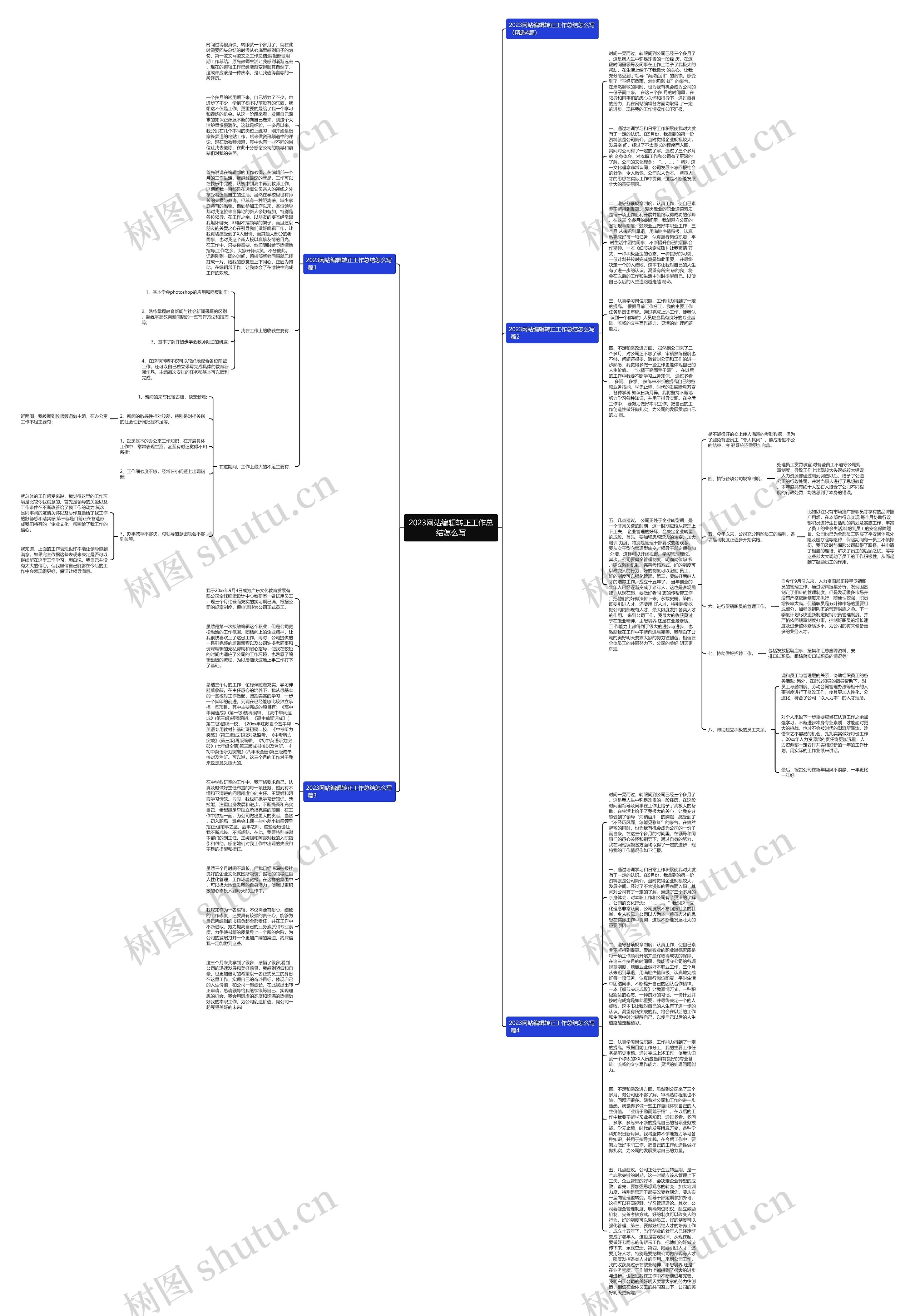 2023网站编辑转正工作总结怎么写思维导图