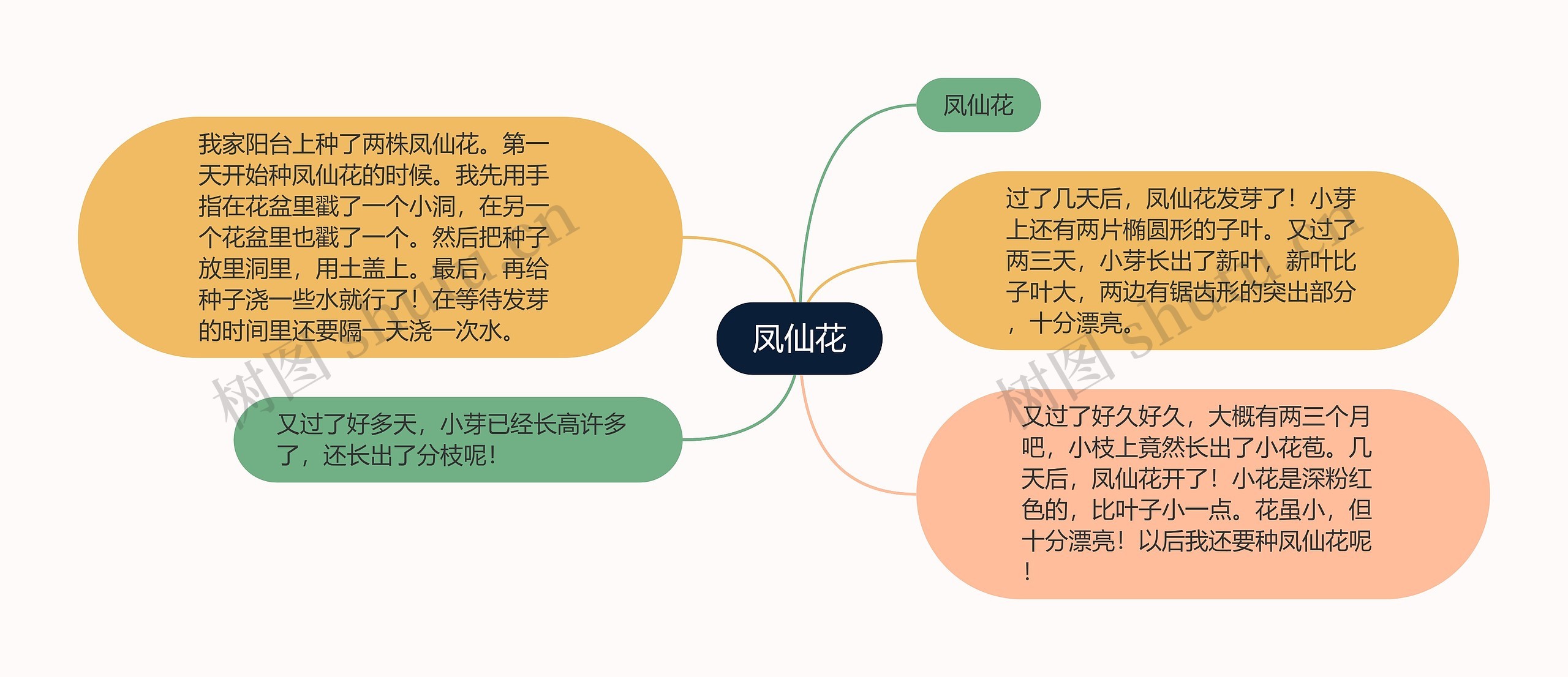 凤仙花