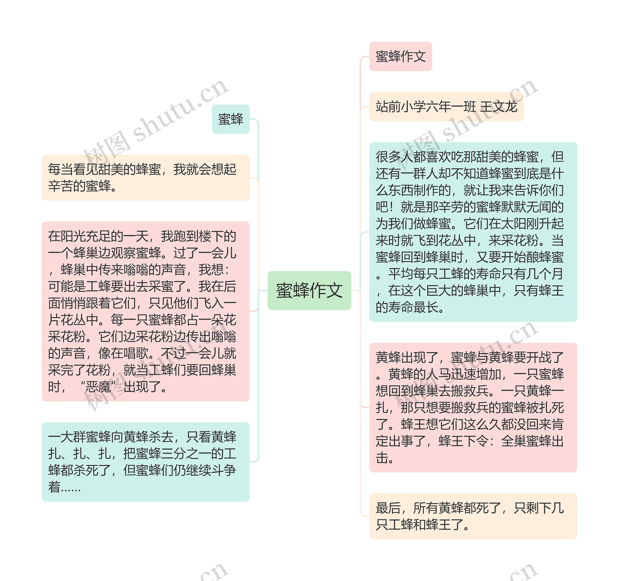 蜜蜂作文