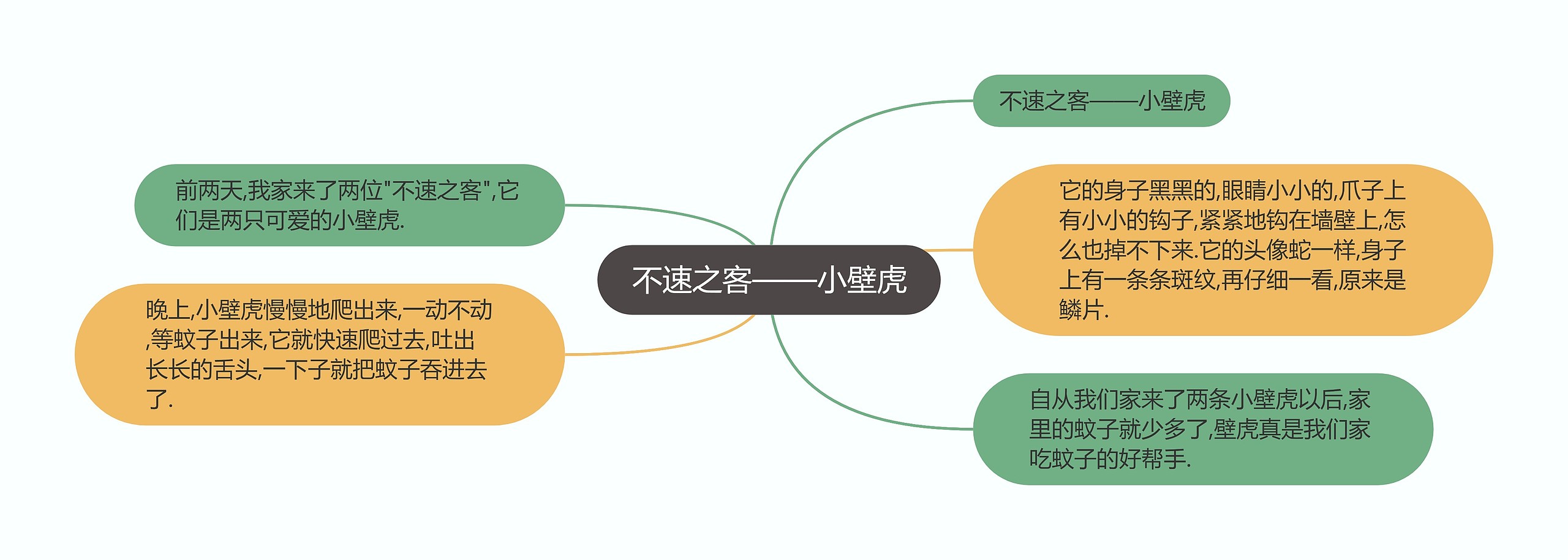 不速之客——小壁虎思维导图