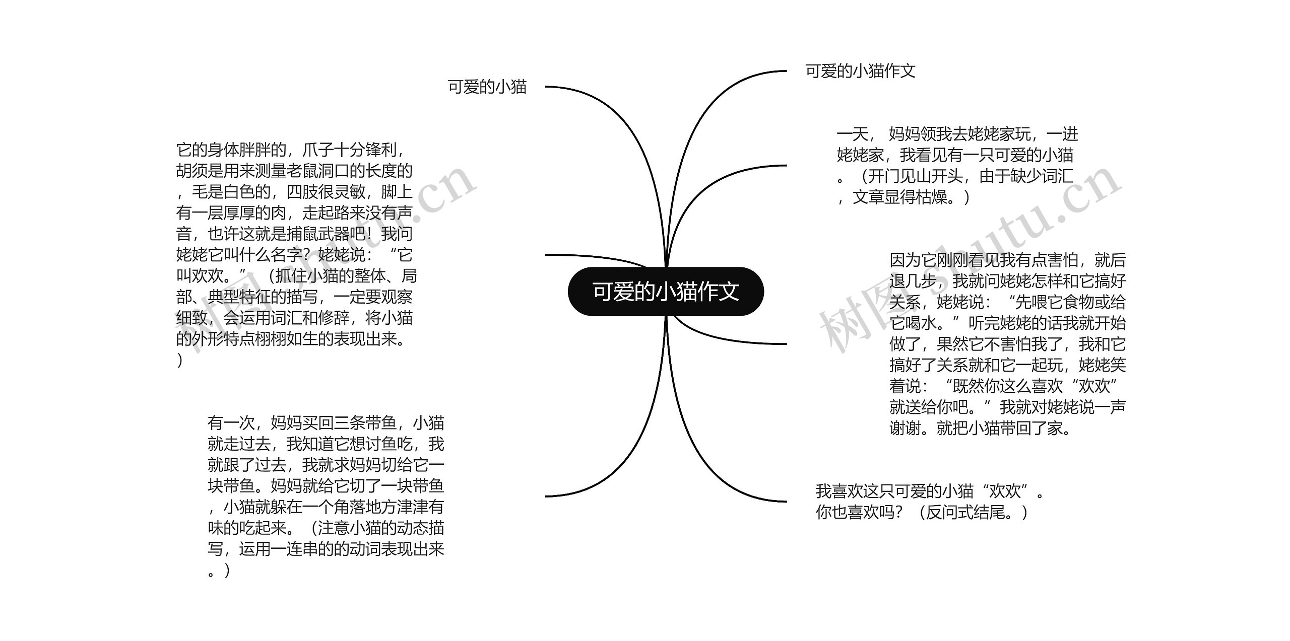 可爱的小猫作文思维导图