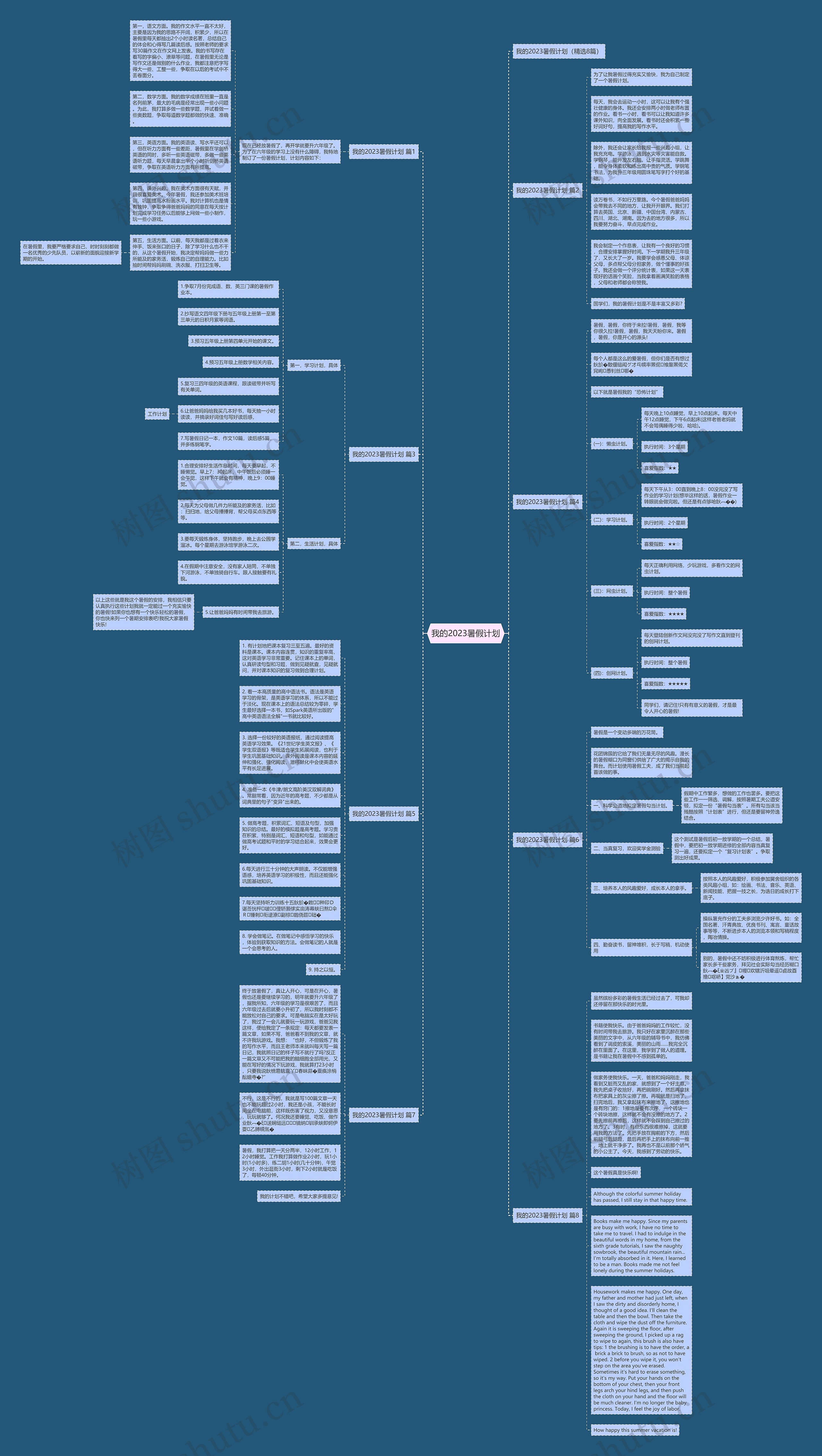 我的2023暑假计划