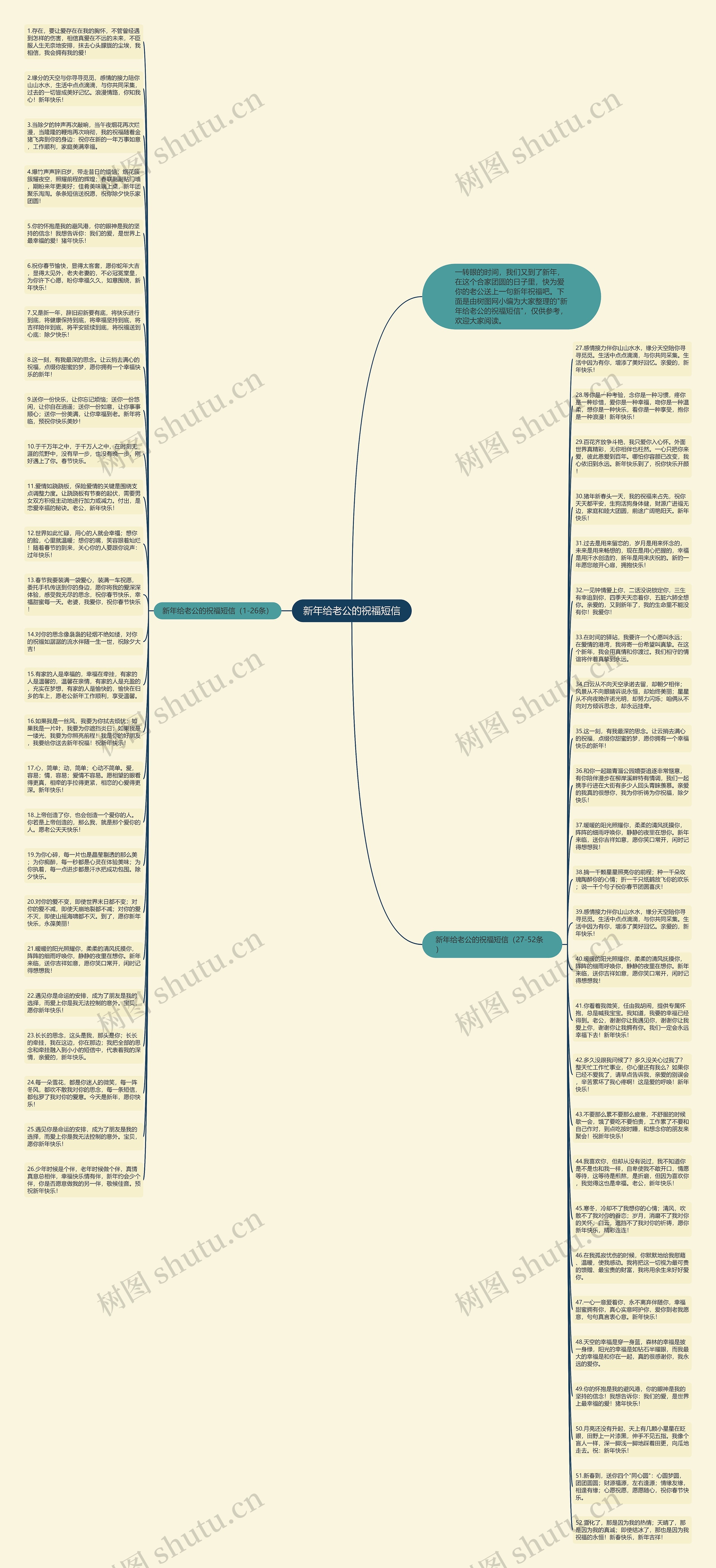新年给老公的祝福短信思维导图