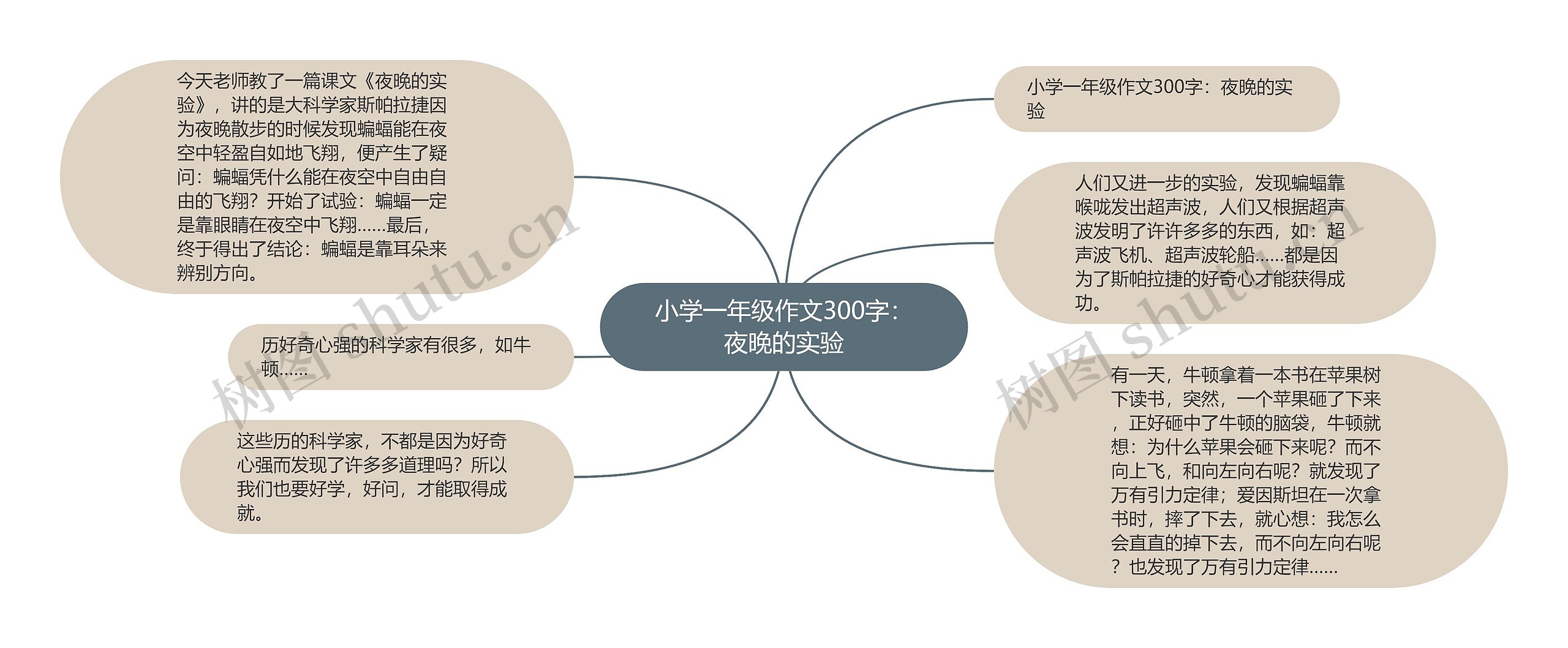 小学一年级作文300字：夜晚的实验