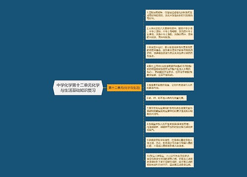 中学化学第十二单元化学与生活基础知识复习