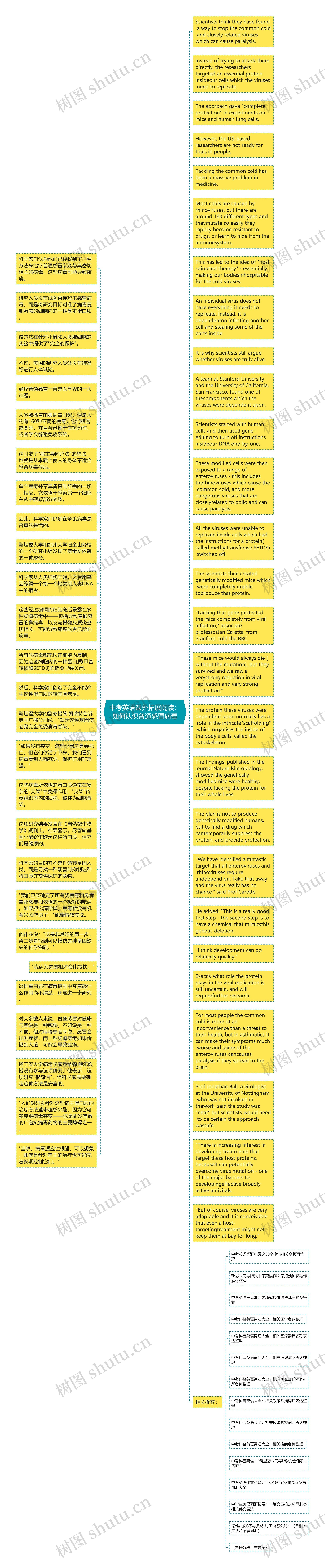 中考英语课外拓展阅读：如何认识普通感冒病毒