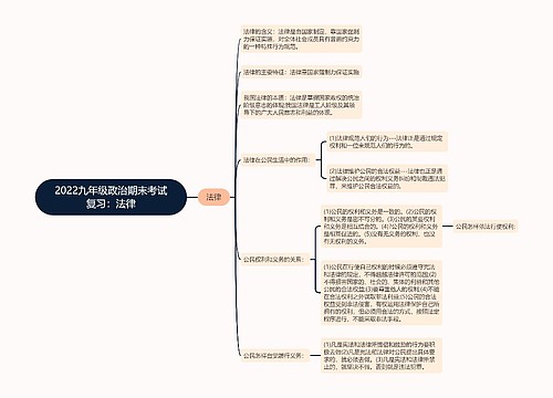 2022九年级政治期末考试复习：法律