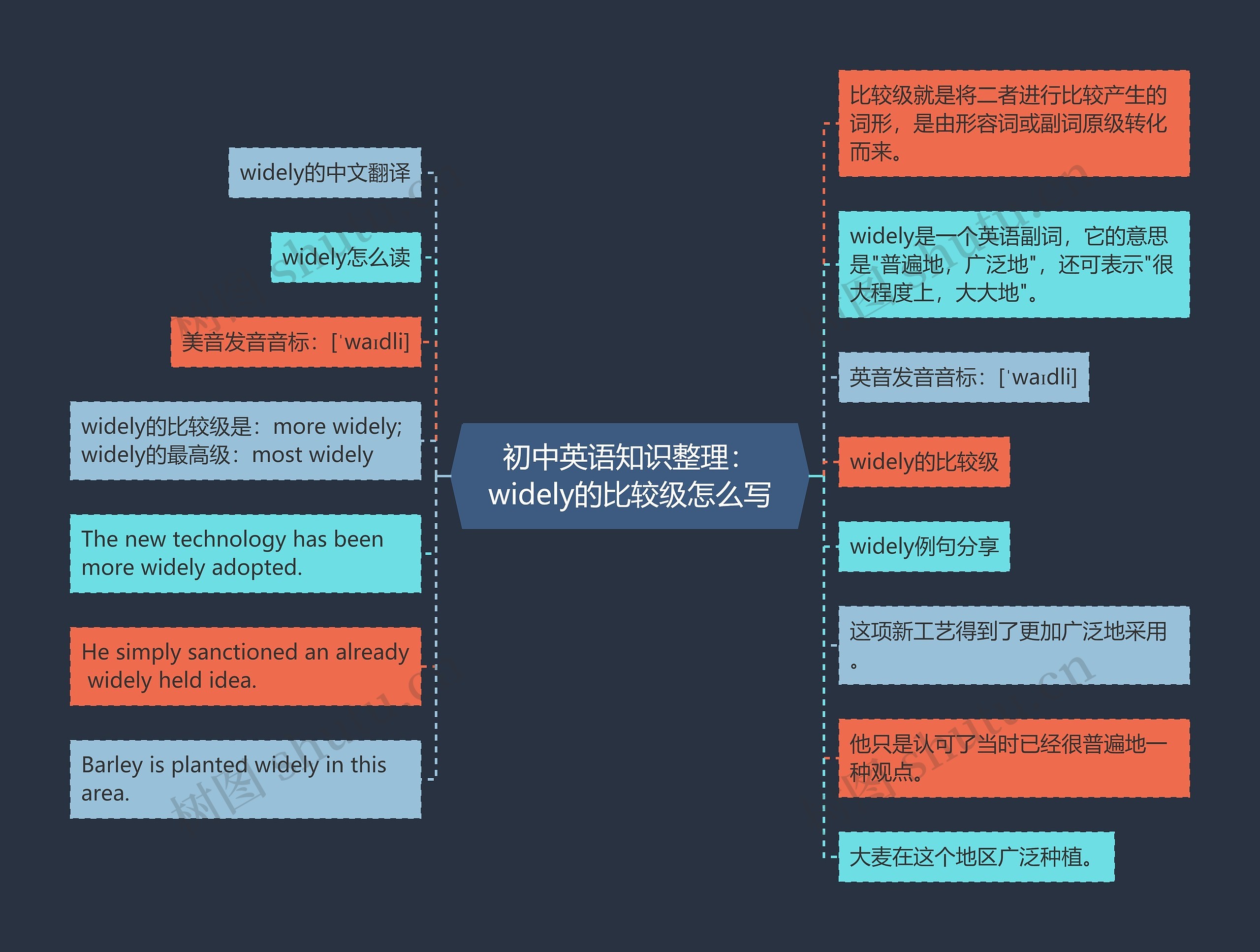 初中英语知识整理：widely的比较级怎么写