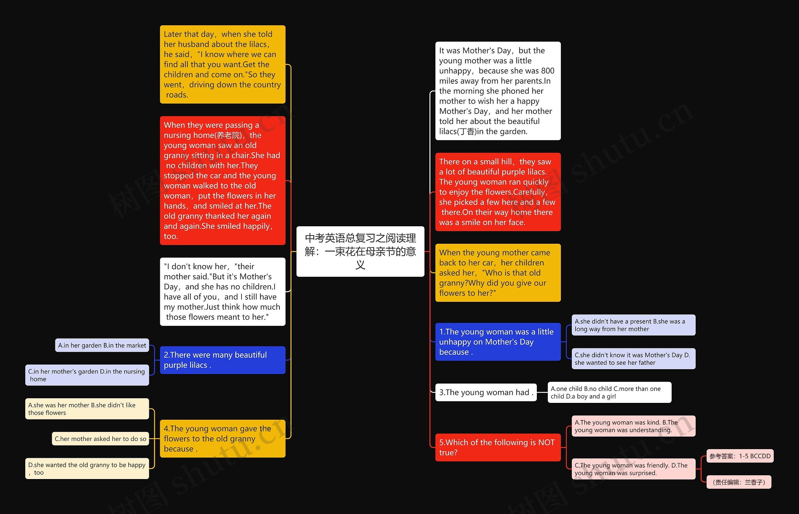 中考英语总复习之阅读理解：一束花在母亲节的意义思维导图