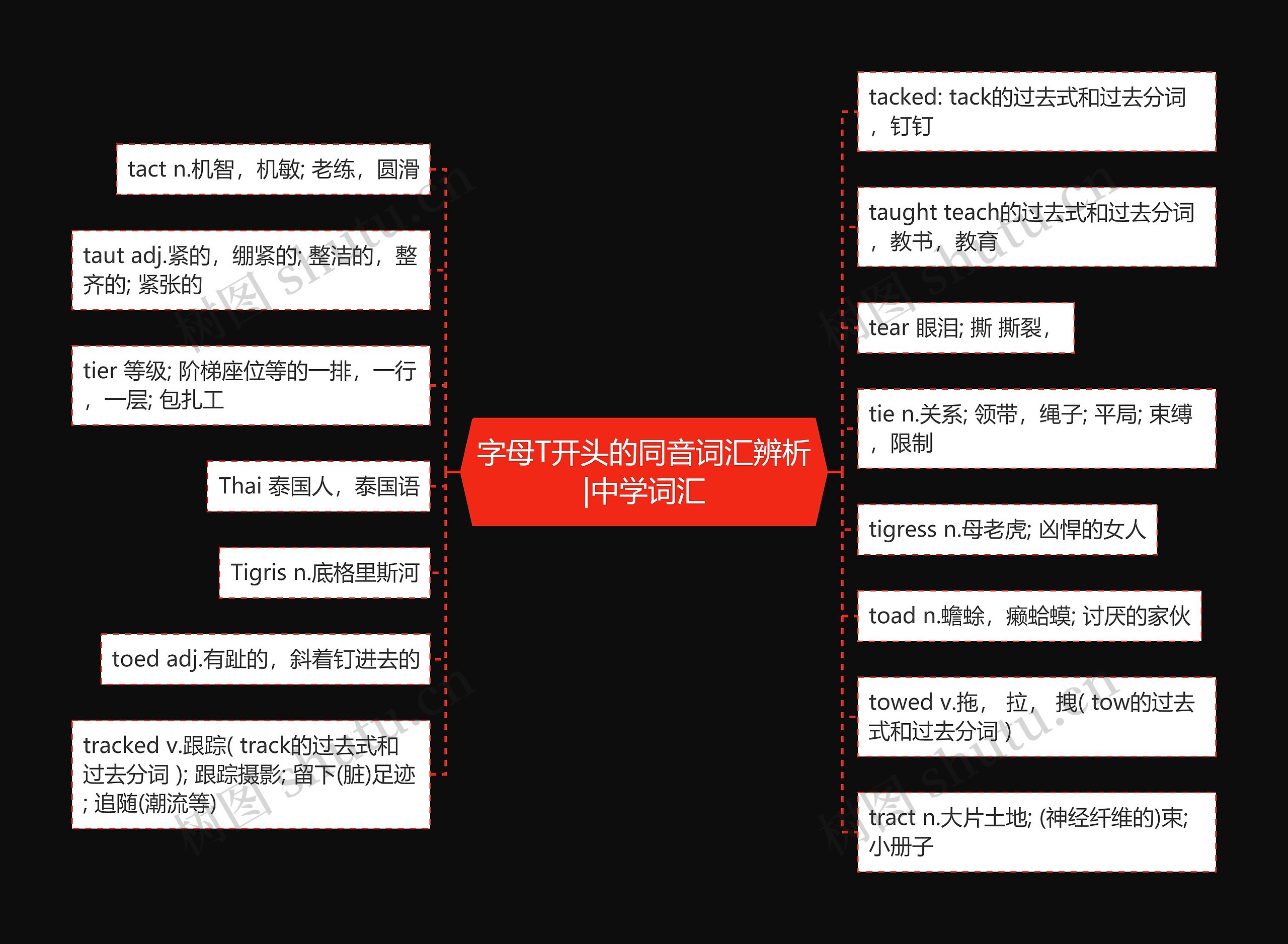 字母T开头的同音词汇辨析|中学词汇