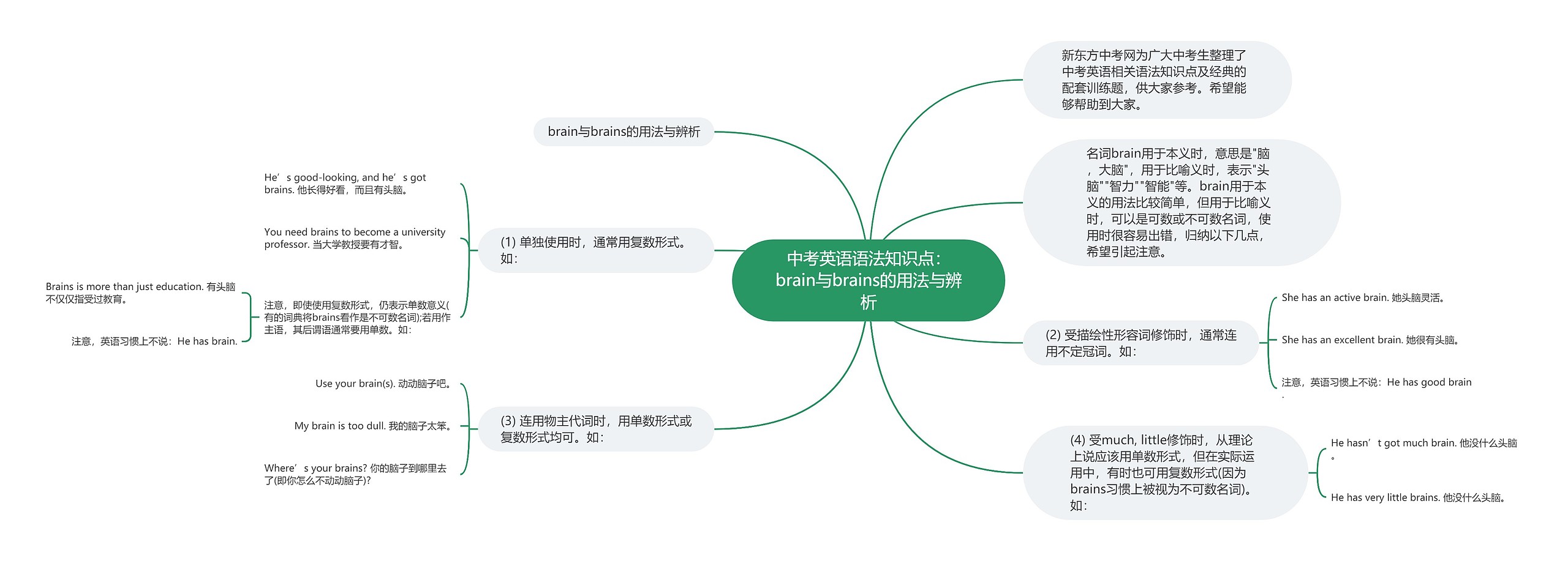 中考英语语法知识点：brain与brains的用法与辨析